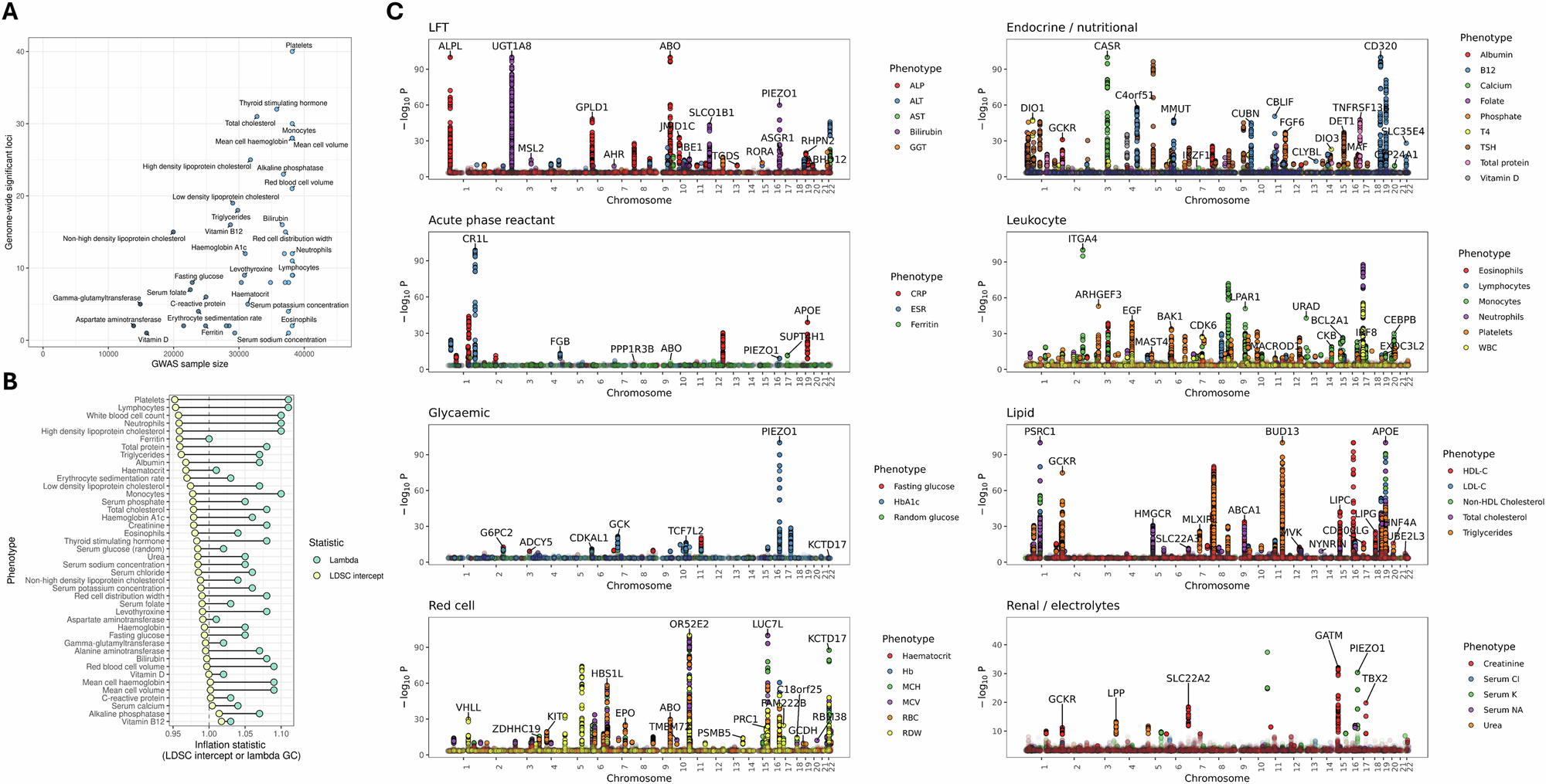 Fig. 1: GWAS of routinely acquired blood tests in a South Asian ancestry cohort.