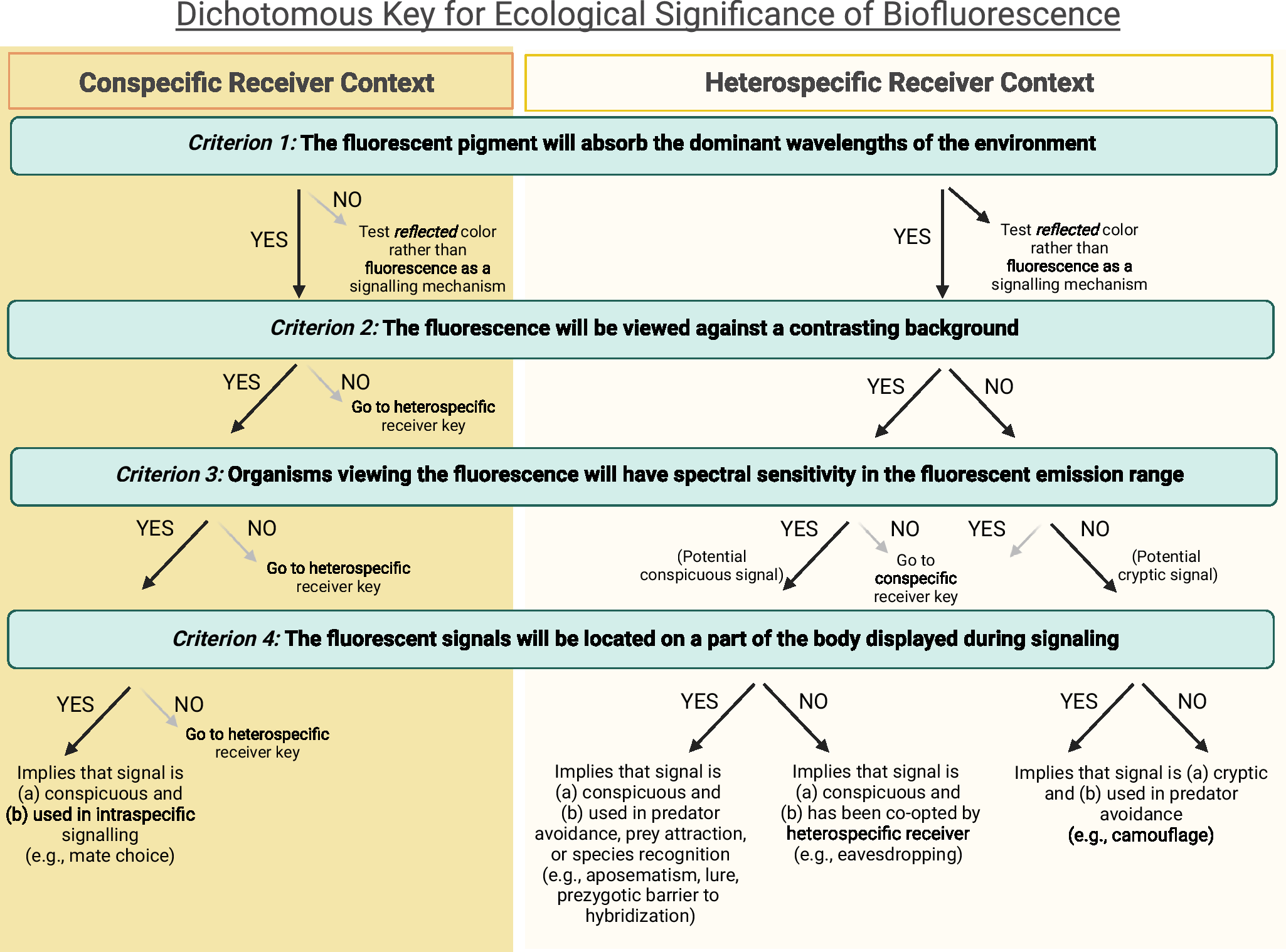 Fig. 7: Proposed expansion of Marshall and Johnsen’s criteria for ecological significance of biofluorescence.