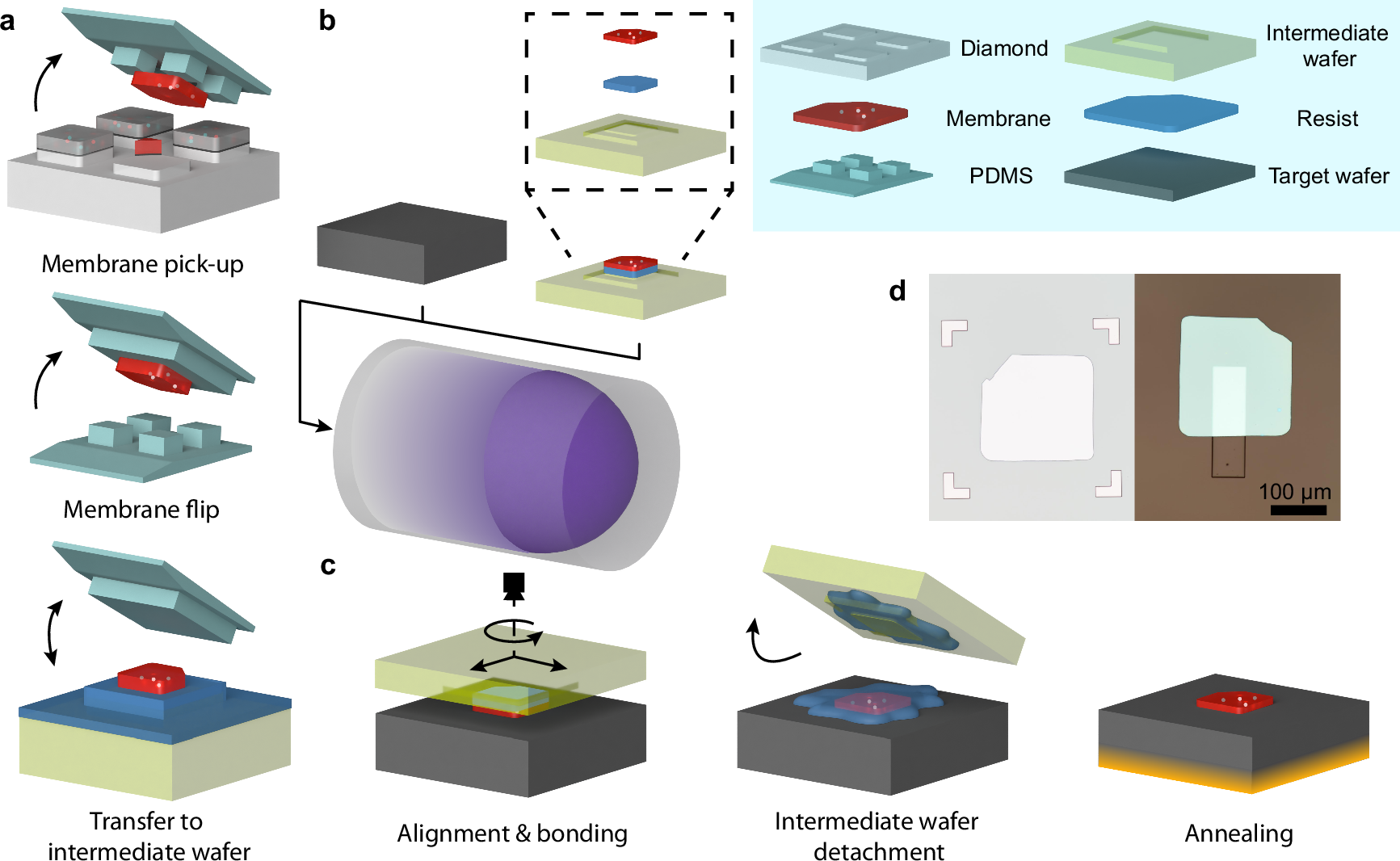 量子デバイスに革新をもたらす新しいダイヤモンド接着技術 (New diamond bonding technique a breakthrough for quantum devices)