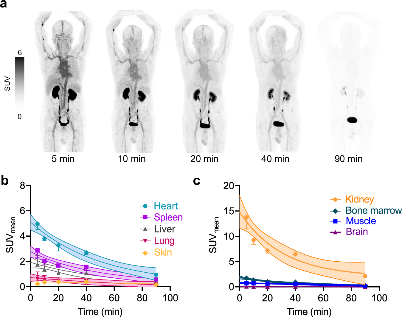 Fig. 1: Biodistribution of 68Ga-grazytracer in human.