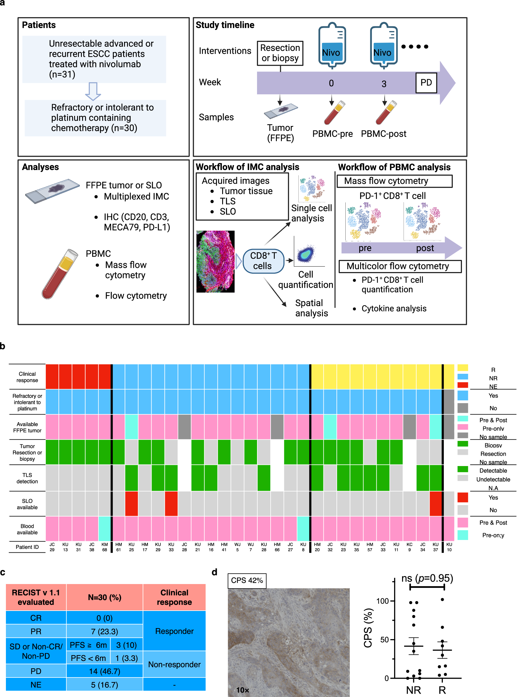 Fig. 1: Study design and clinical data for the 31 enrolled patients.