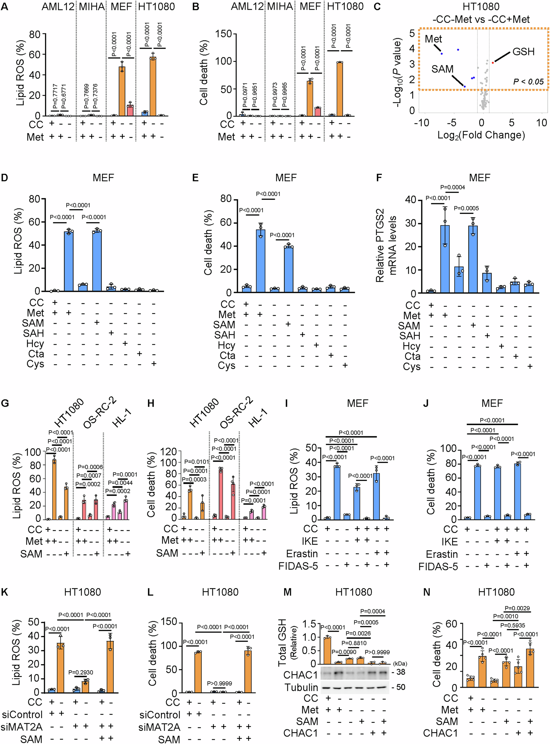 Fig. 2: Methionine-derived SAM accounts for cystine deprivation-induced ferroptosis.