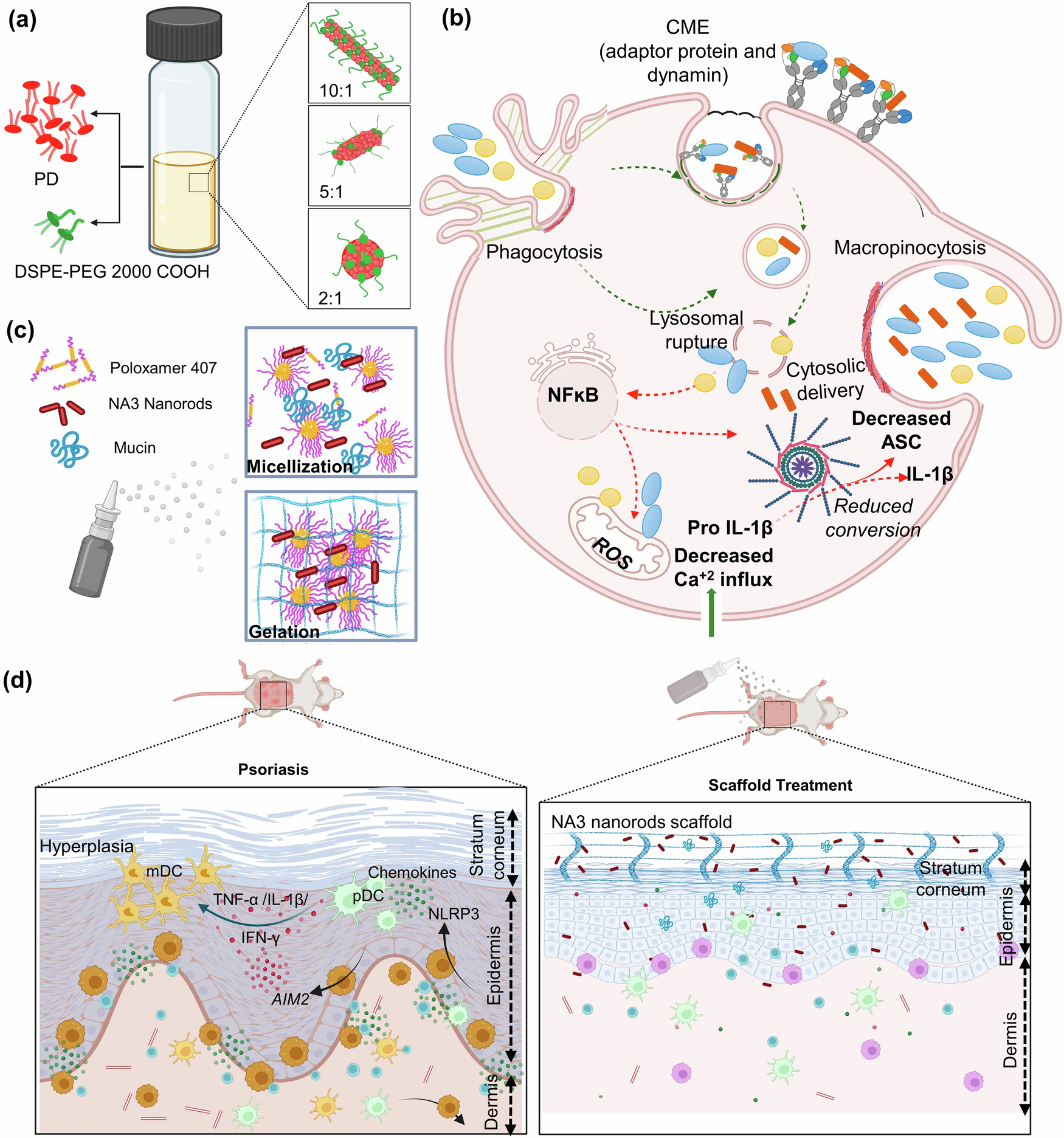 スプレー可能な新しい乾癬治療薬送達システムが発明された(New, Sprayable Psoriasis Drug Delivery System Invented by UMass Researchers)