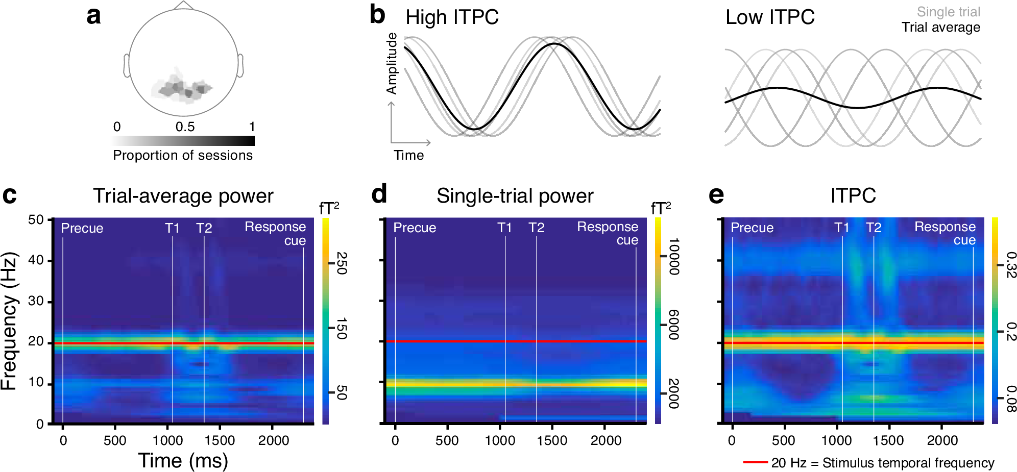 Fig. 3: MEG responses to steady-state visual stimulation.