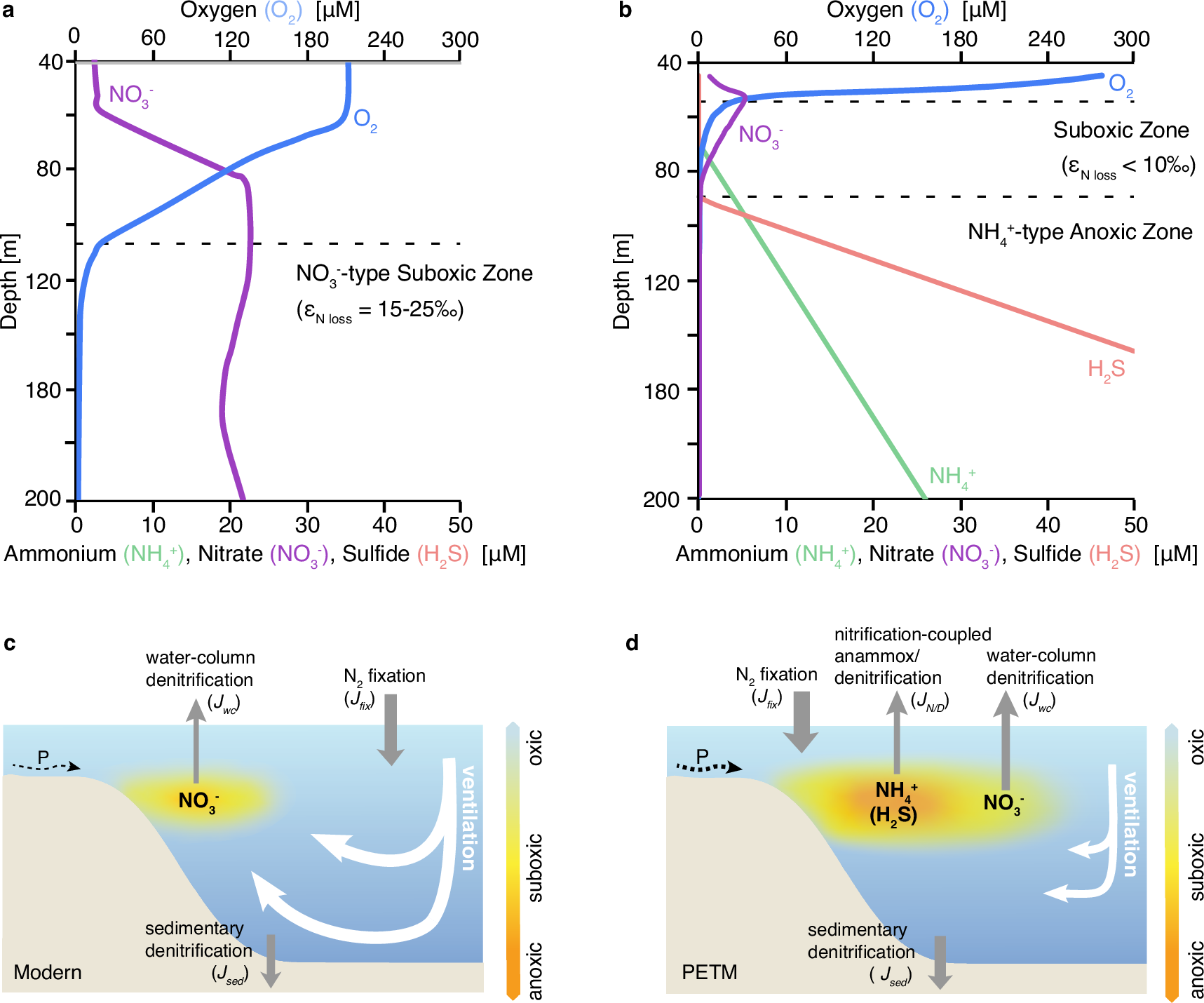 Fig. 2: Comparison between “nitrate-type” and “ammonium-type” oxygen-deficient zones (ODZs).