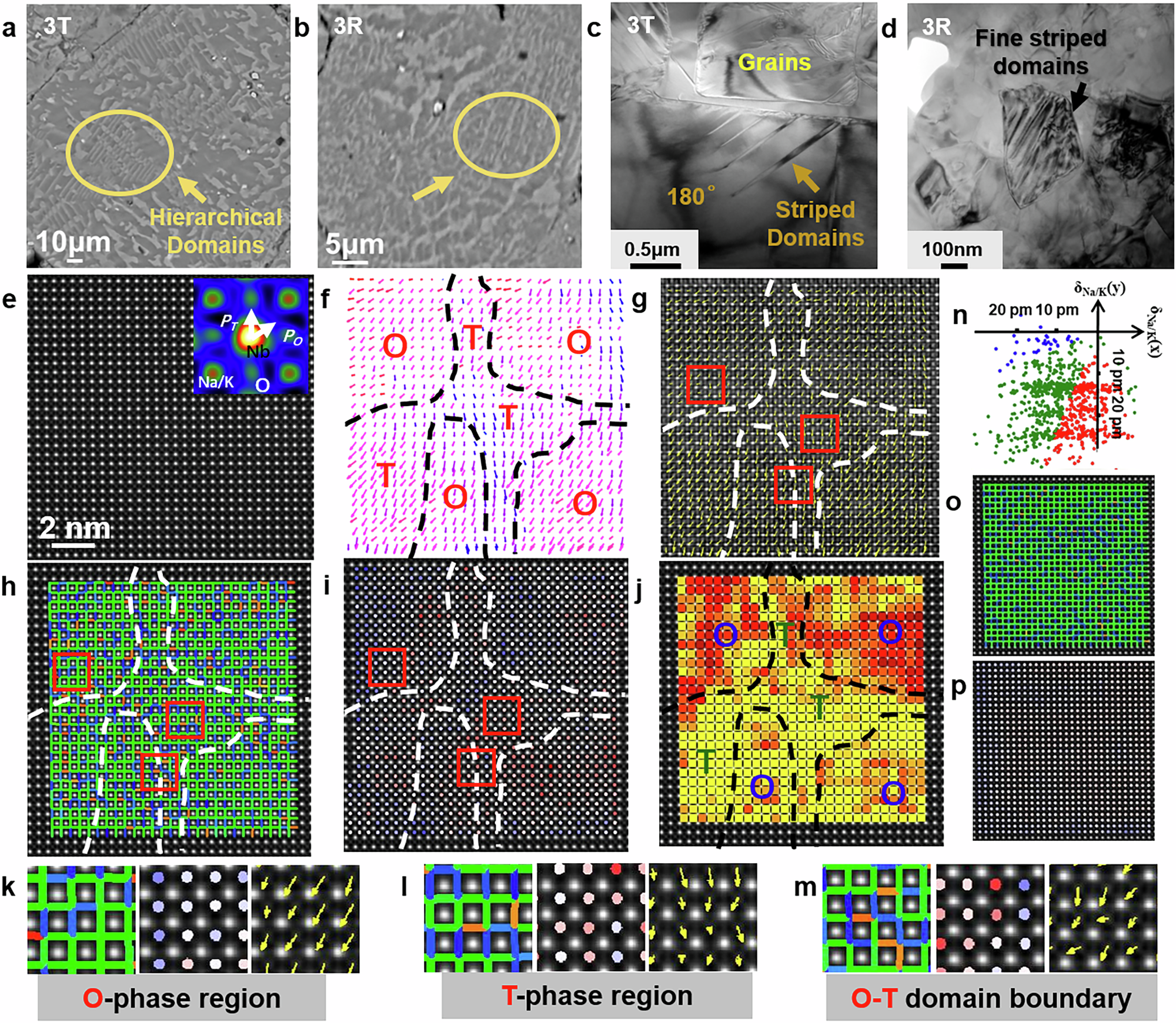Fig. 3: Domain structure and atomic local distortion.