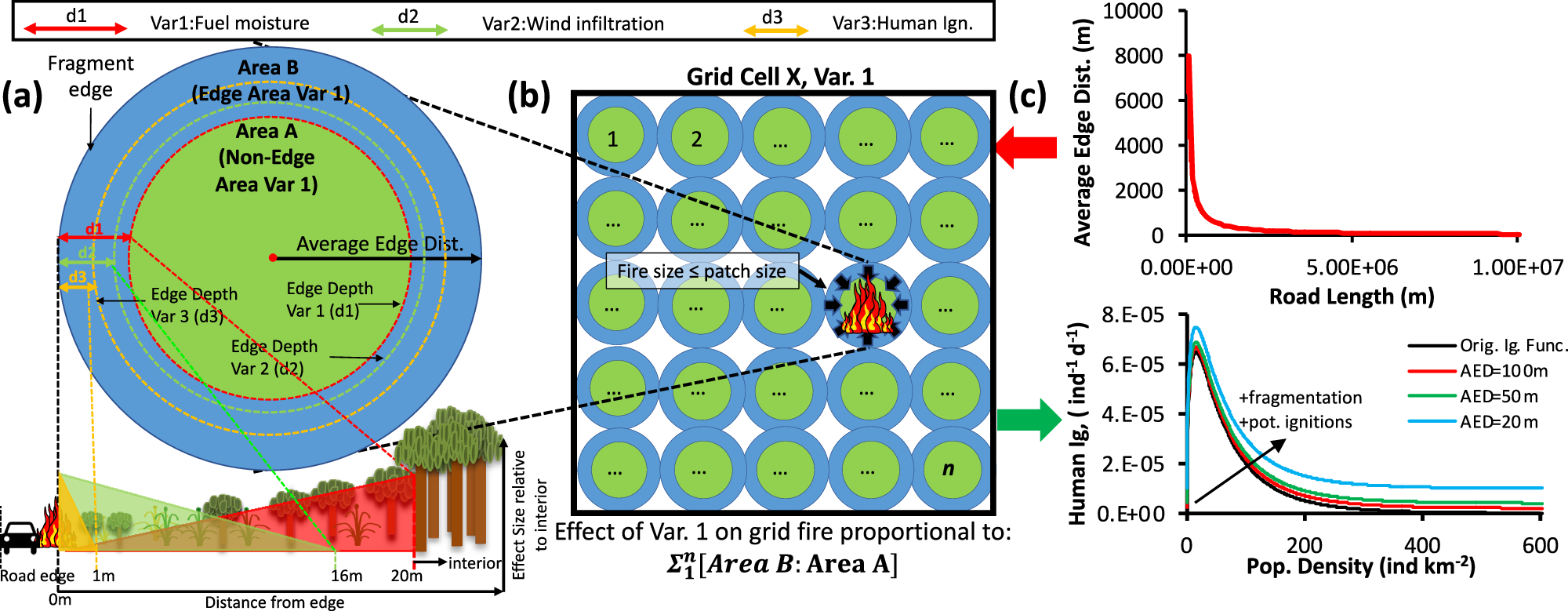 Fig. 1: The conceptual implementation of road fragmentation in ORCHIDEE-SPITFIRE.