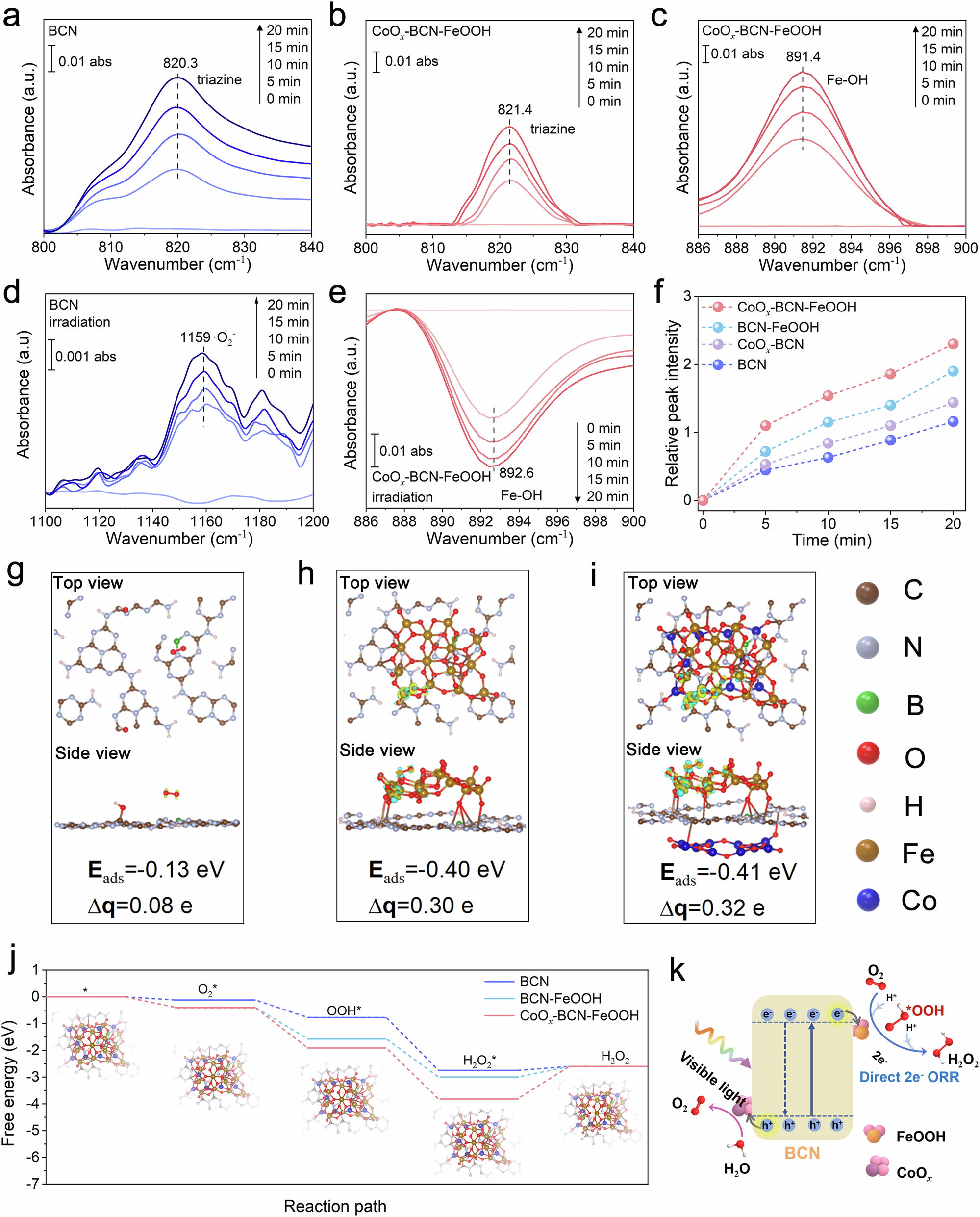 Fig. 5: Mechanism of H2O2 photosynthesis on CoOx-BCN-FeOOH.