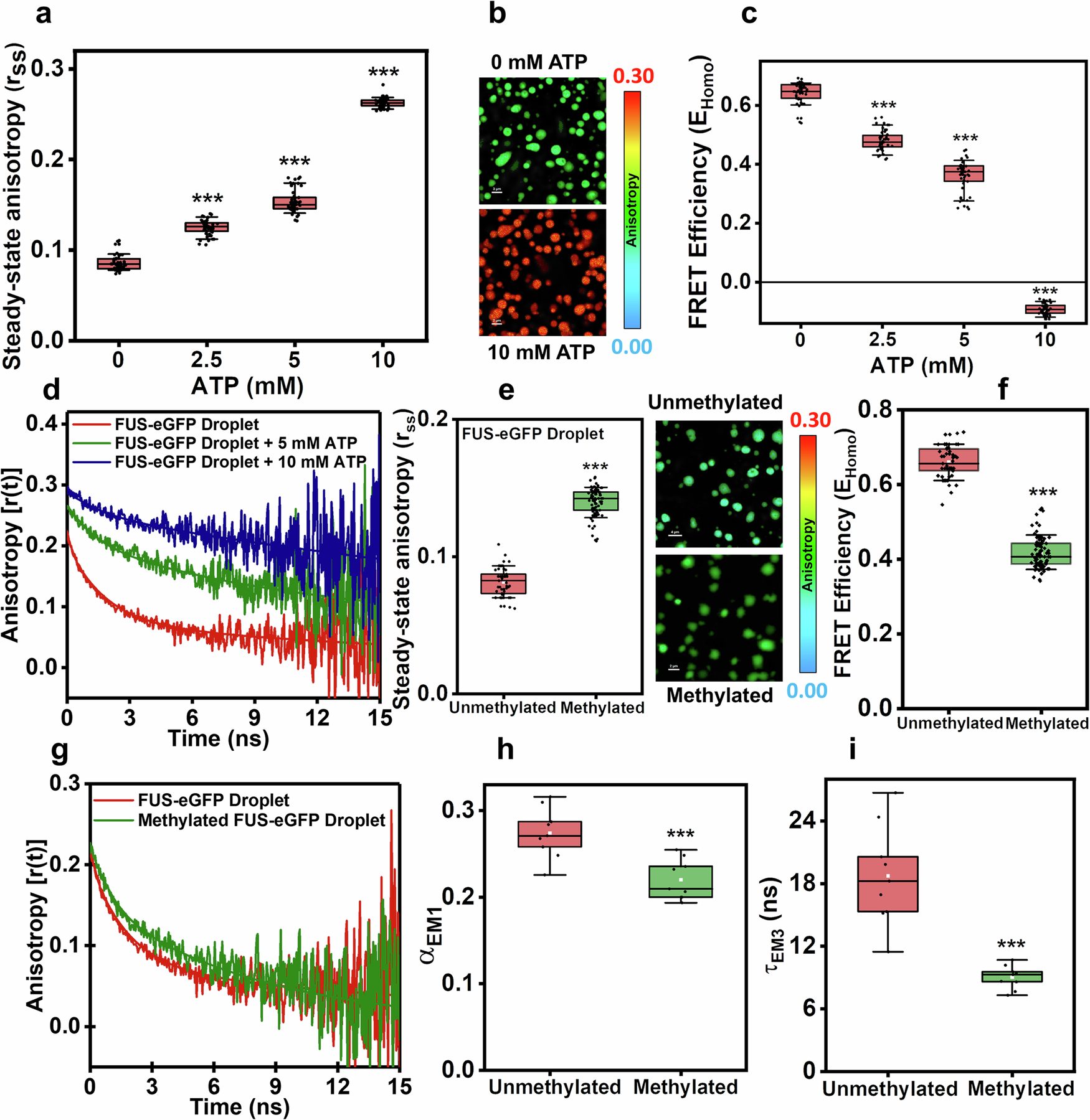 Fig. 4: Altered molecular packing in the presence of ATP and post-translational methylation.