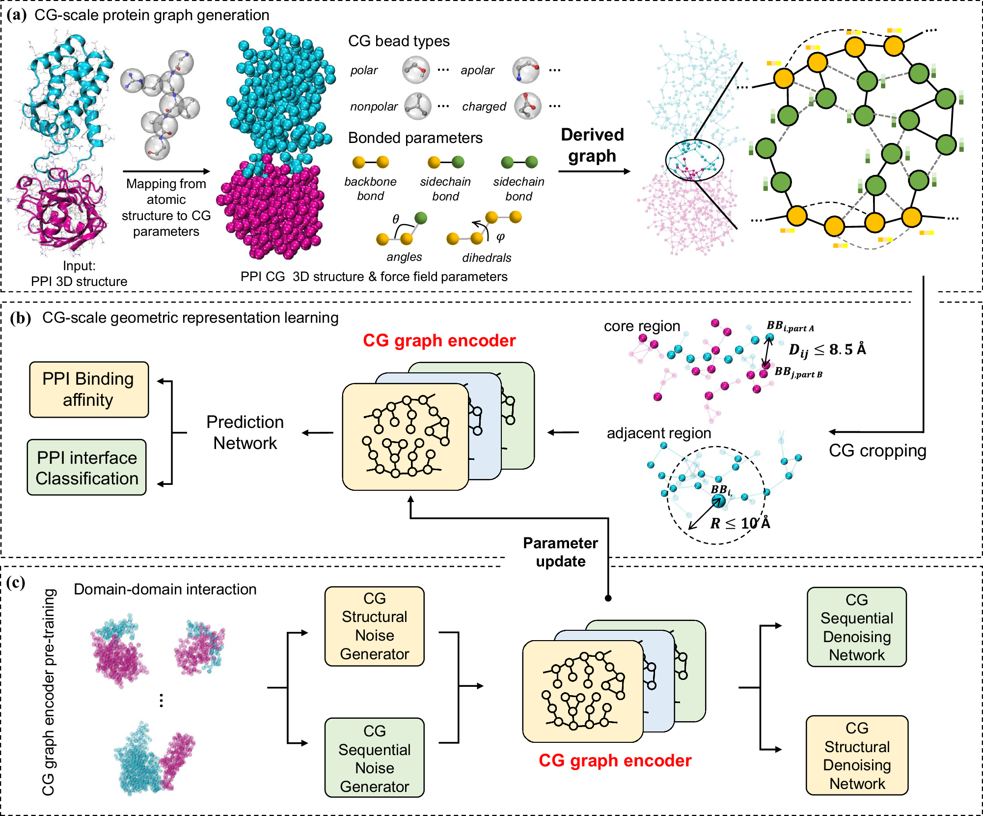 Integration of molecular coarse-grained model into geometric 