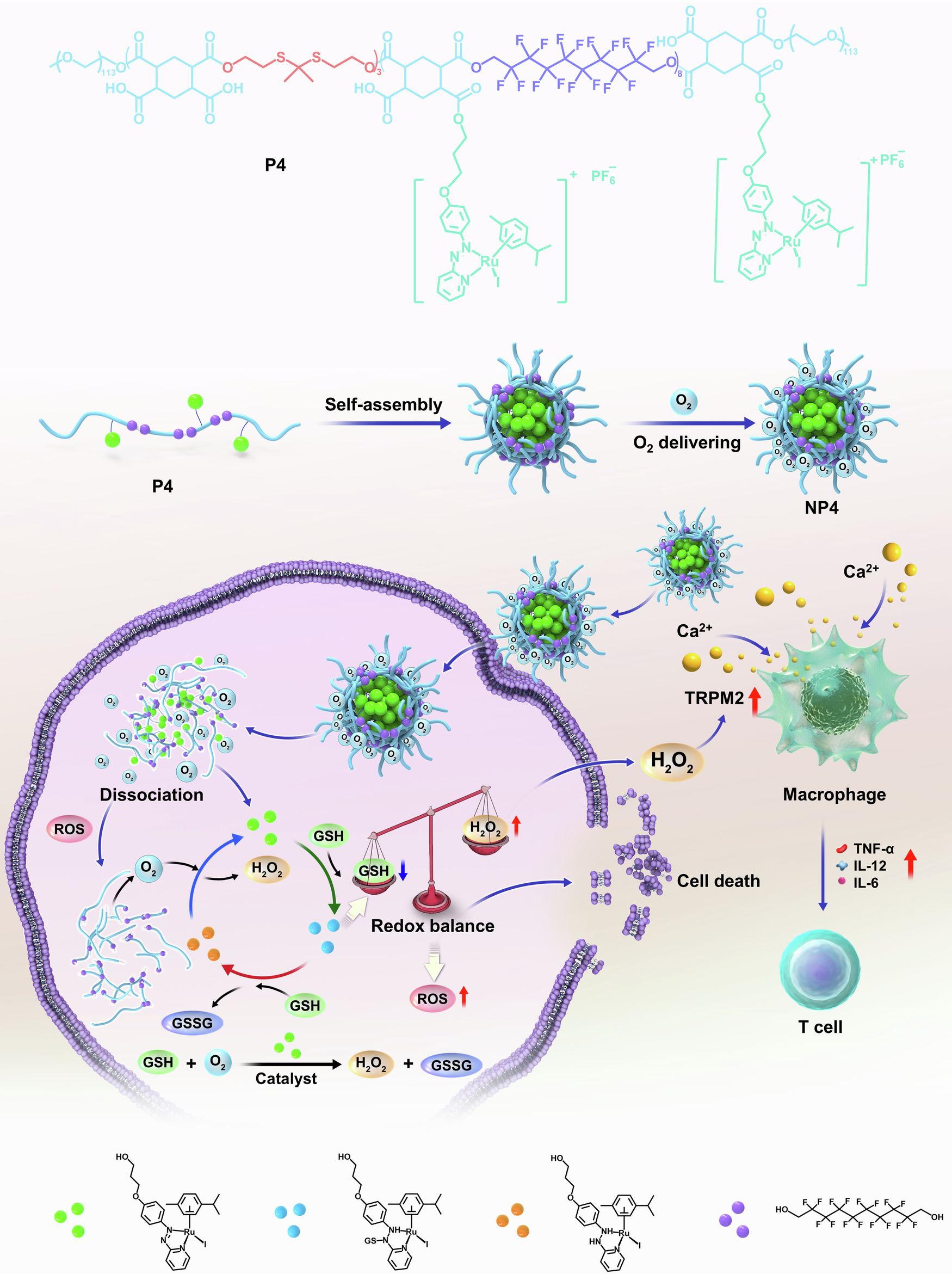 lsm ru nude  Tumor-targeted glutathione oxidation catalysis with ruthenium nanoreactors  against hypoxic osteosarcoma | Nature Communications