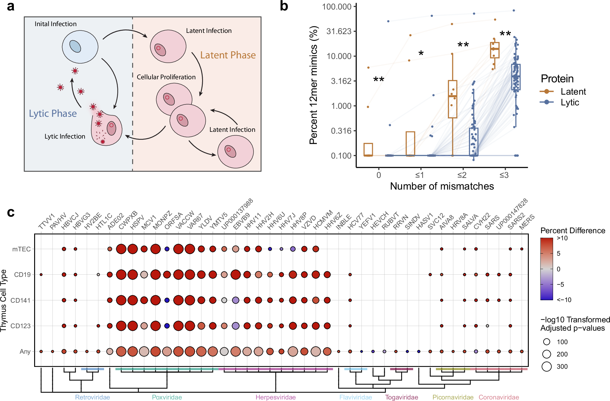 Fig. 6: EBV latent proteins have elevated mimicry and viral mimicry targets negatively selected proteins.