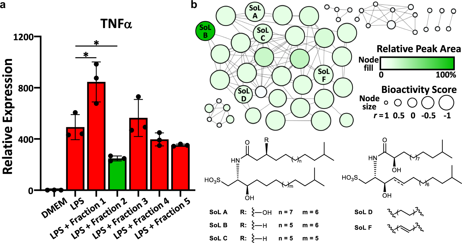 Fig. 4: Bioactive molecular networking leads to the identification of SoLs as major bioactive components of a SoL-producer.