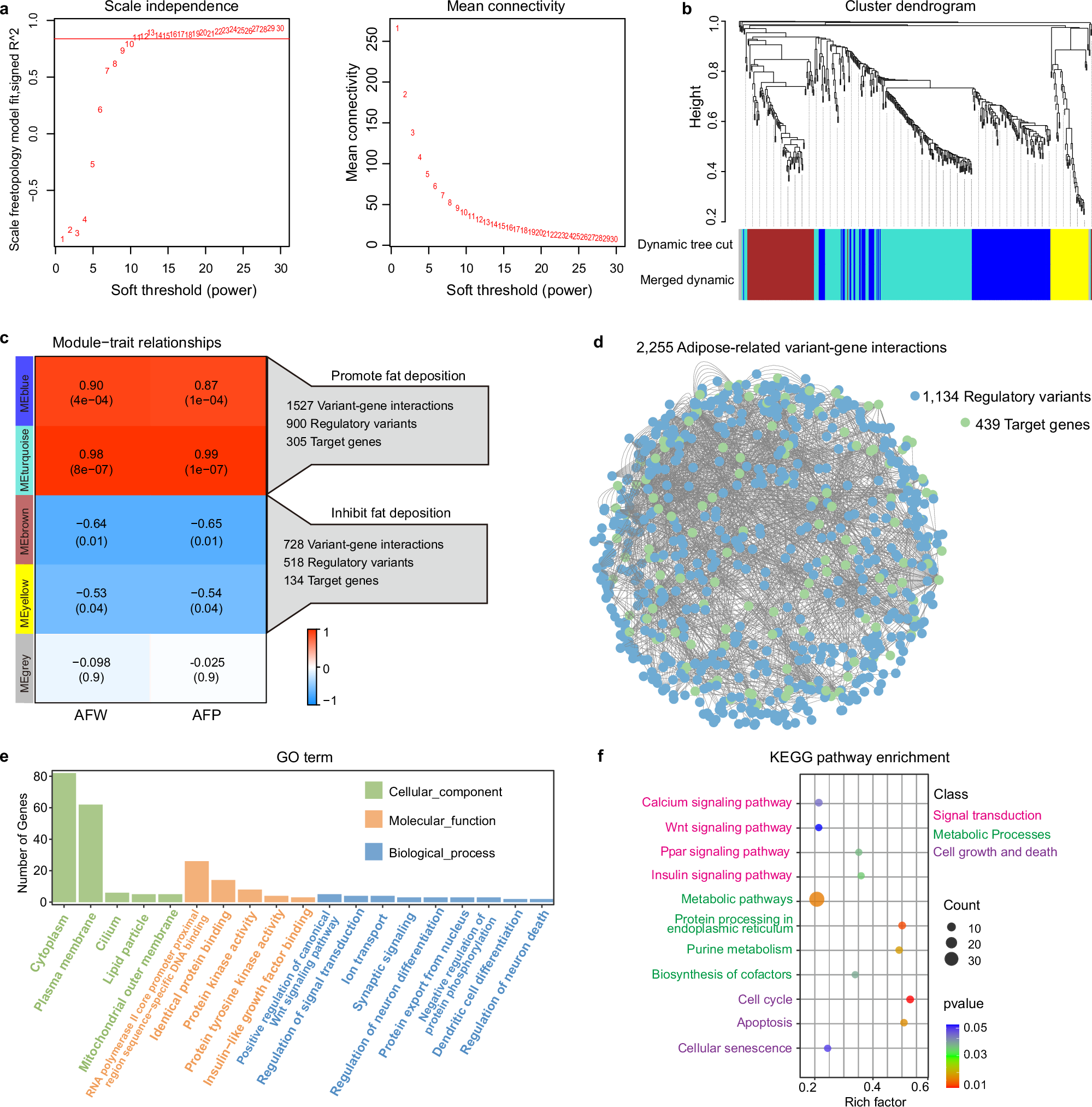 Fig. 4: Weighted gene coexpression network analysis (WGCNA) and functional enrichment analysis.