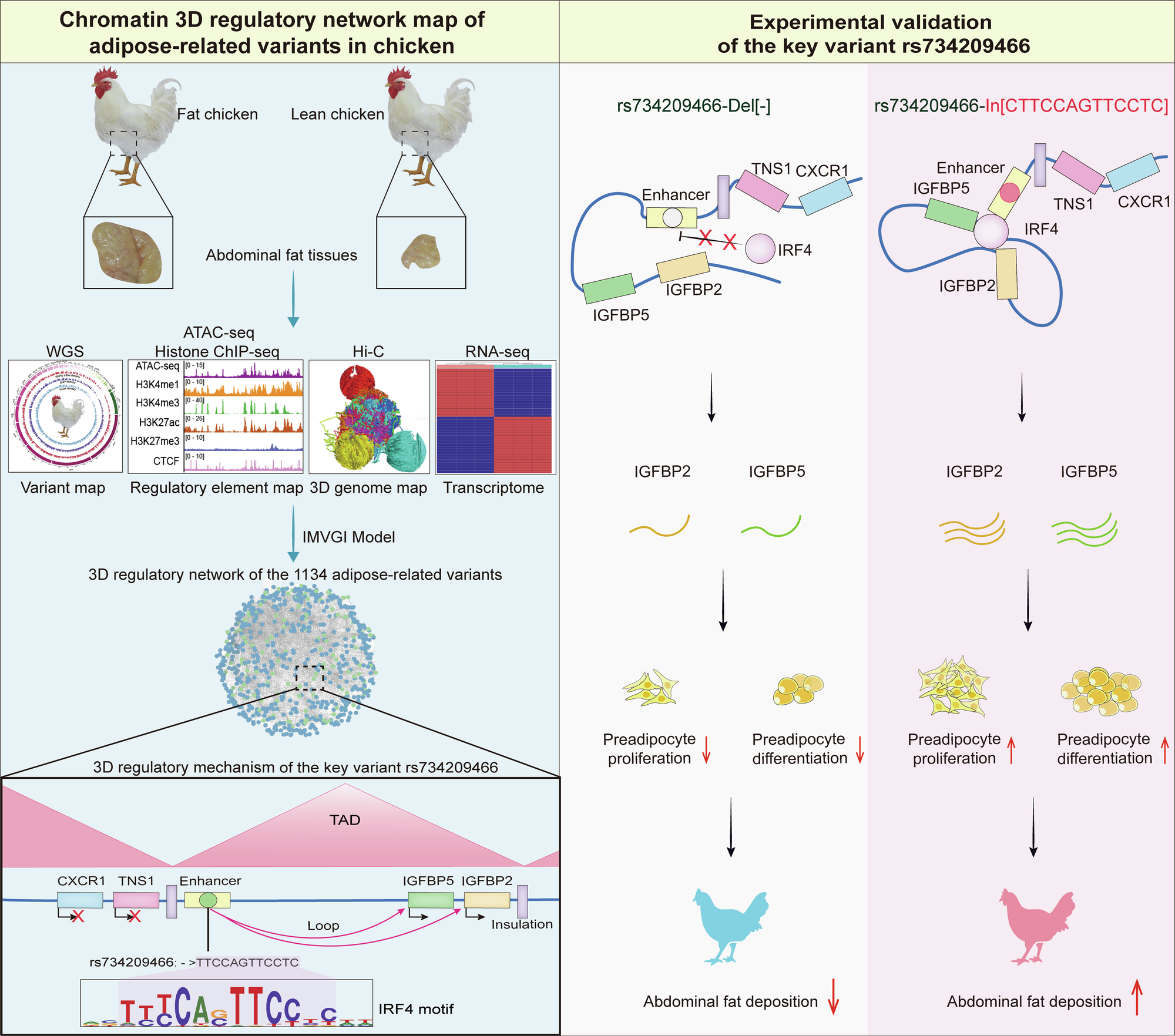 Fig. 9: Schematic overview of the study.