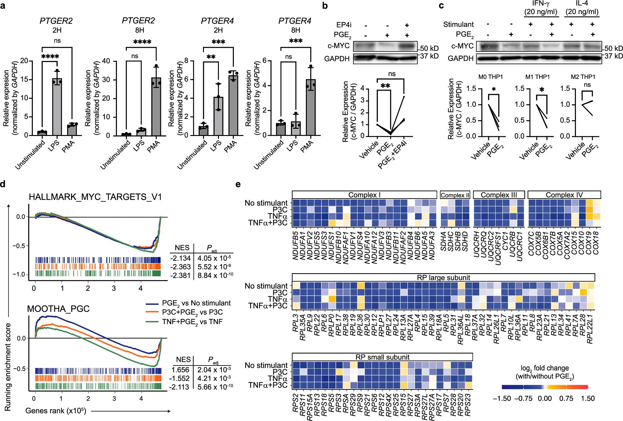 Fig. 5: Control of macrophage reactivity by PGE2-EP4 signaling.