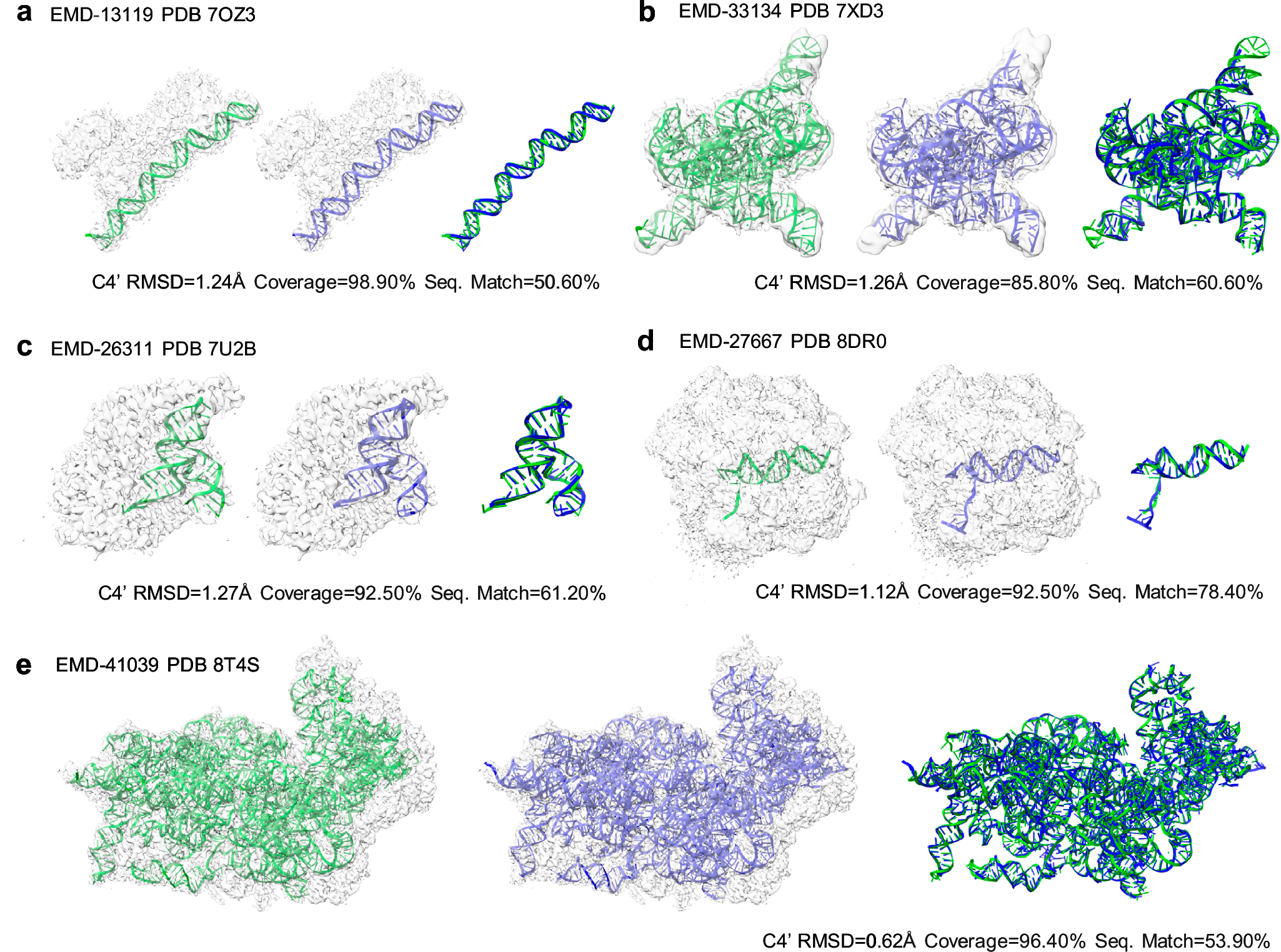 Fig. 4: Examples of the built DNA/RNA models by EM2NA.