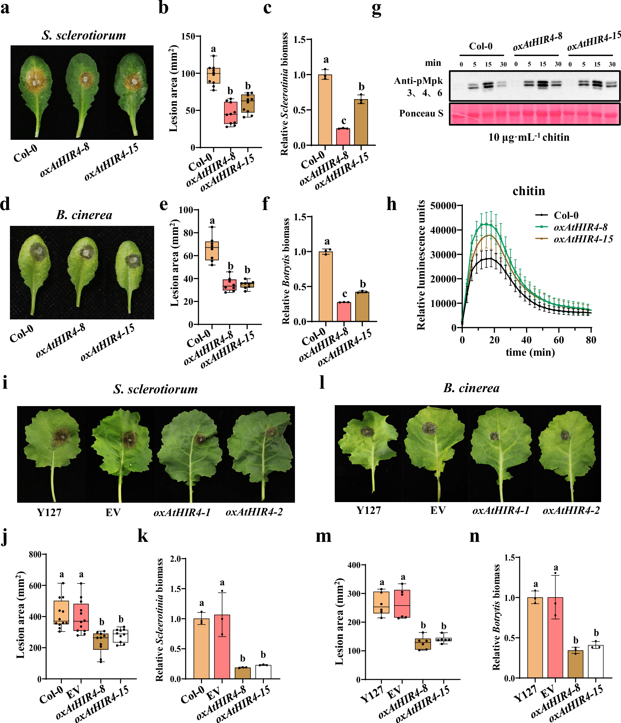 Fig. 6: Overexpression of AtHIR4 enhances plant resistance.
