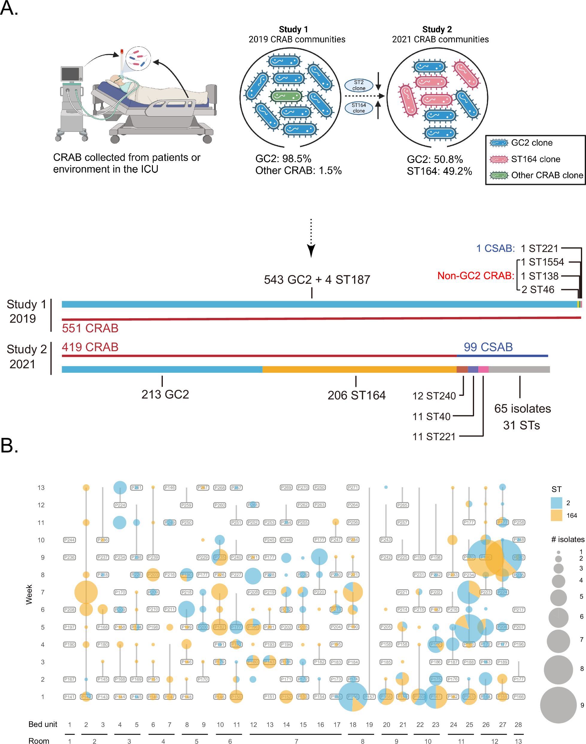 Fig. 1: The ICU A. baumannii population.