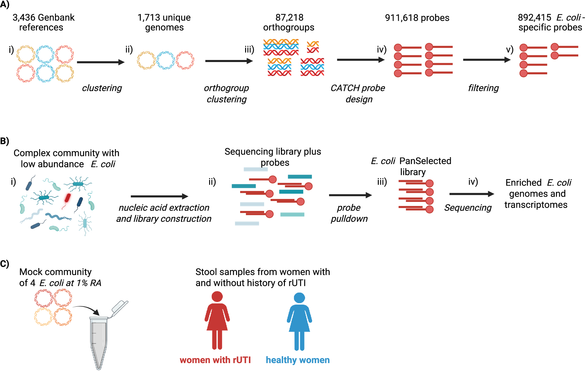 distinct-escherichia-coli-transcriptional-profiles-in-the-guts-of-recurrent-uti-sufferers-revealed-by-pangenome-hybrid-selection-nature-communications