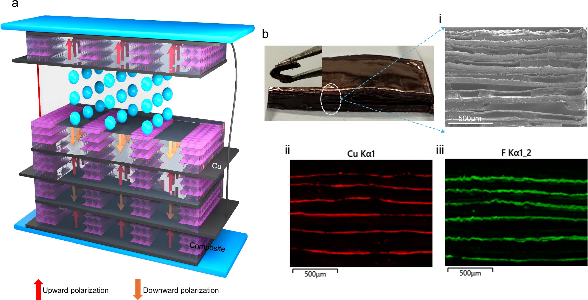 a The basic structure of the CPENG. The blue spheres represent the repeating composite films, while the polyhedral shapes depict the perovskite structure embedded in the PVDF. Each of the composites is connected in parallel electrical connection. Two consecutive films have opposite polarization directions and are intercalated with a copper electrode. Intercalated electrodes adjacent to the same polarization direction are connected. b Photograph of a 21-layer CPENG (inset shows a bent device by a metallic tweezer) (i) cross-sectional FE-SEM (ii-iii) EDS elemental mapping clearly showing the intercalated copper electrodes (red) and composite films (green).