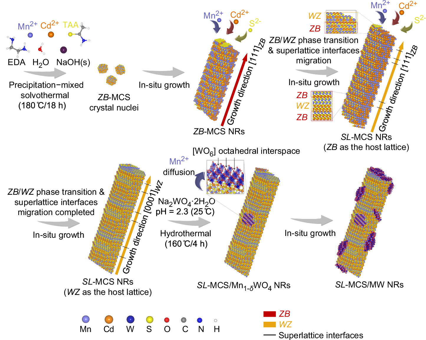 Fig. 2: Synthesis of synergistic interface structure in SL-MCS/MW NRs.