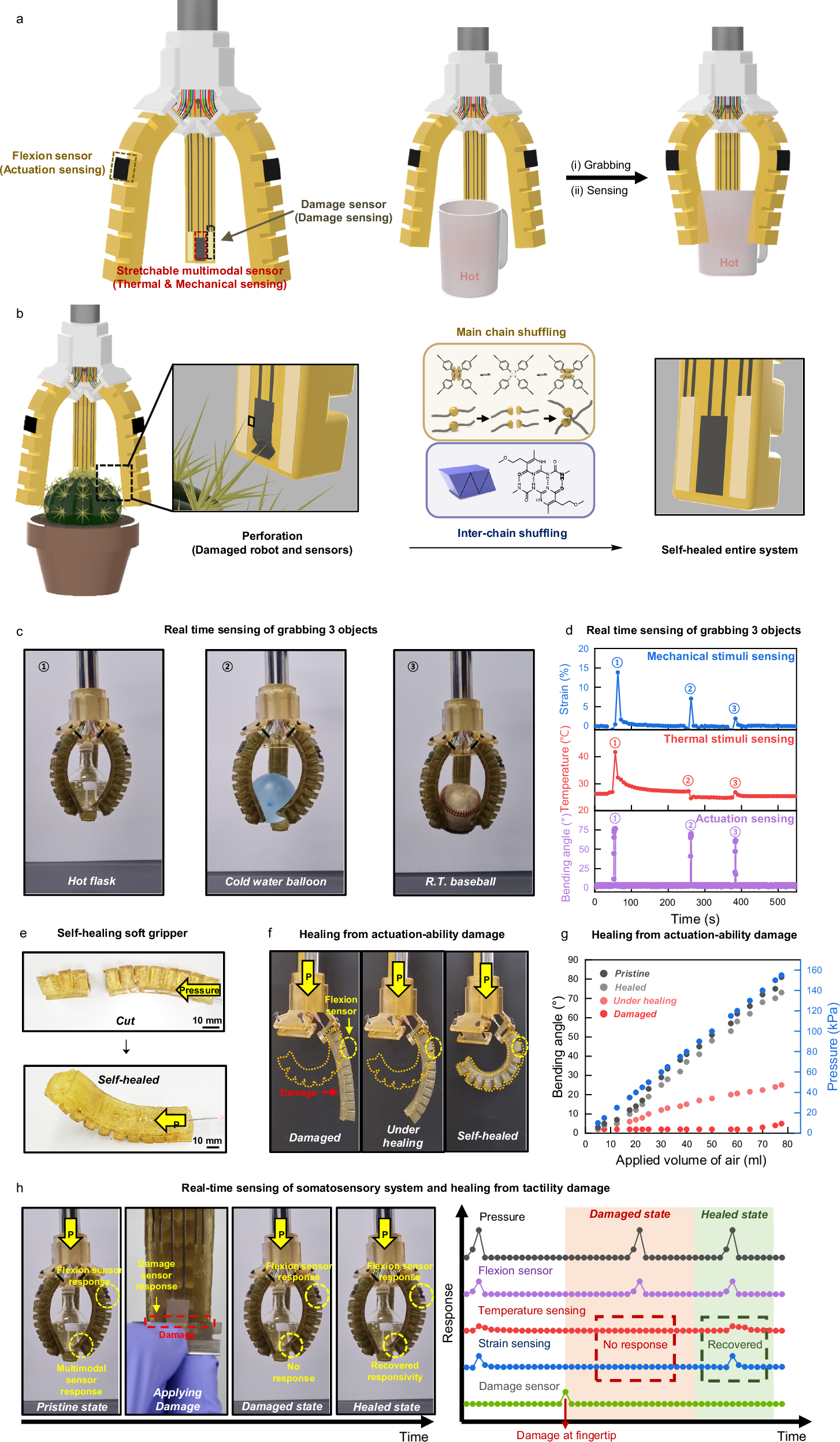 Fig. 4: Demonstration of tough, self-healable, and somatosensitive soft robot.
