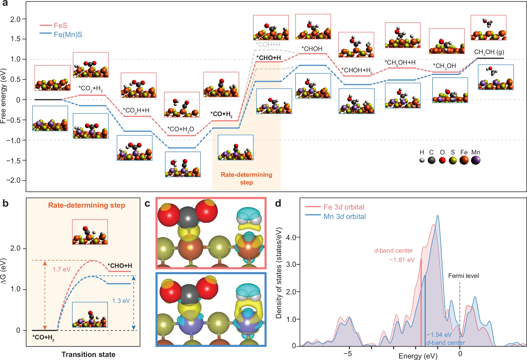 a Gibbs free energy diagram of the reaction steps and corresponding optimized structures. b Transition states of the rate-determining step. c Calculated charge density differences (CDD) between pure FeS (upper) and Mn-doped FeS (lower) upon adsorption of CO2 and H2. Yellow represents electron accumulation, and cyan denotes electron depletion. d Calculated density of states (DOS) of Fe and Mn sites in FeS.