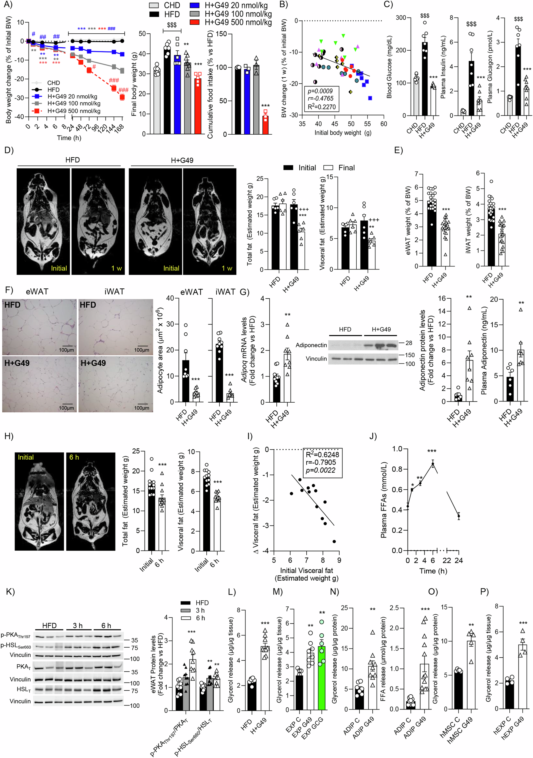blindness from semaglutide Can Ozempic and Wegovy Cause Blindness?