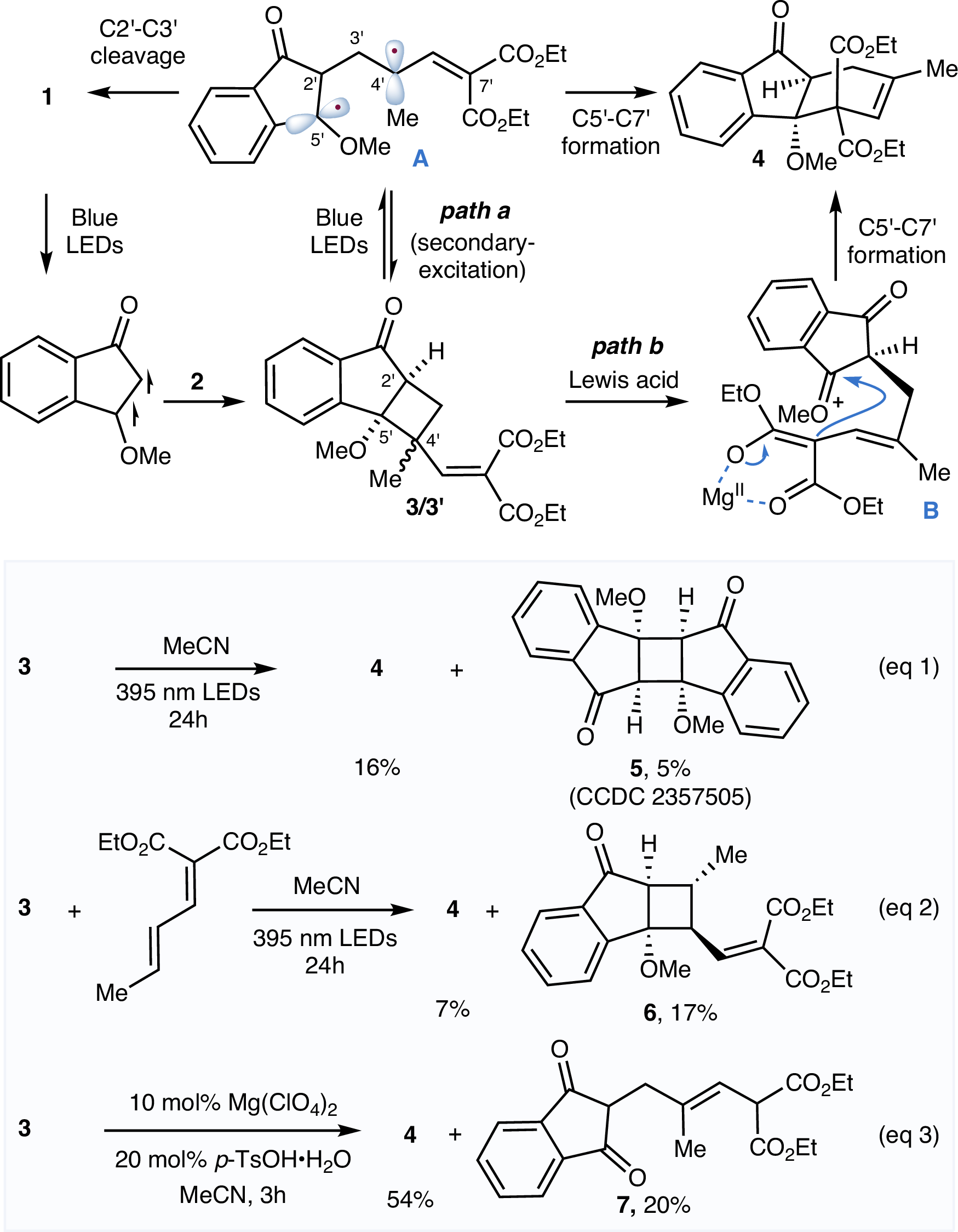 Fig. 2: Proposed mechanism and mechanistic studies.