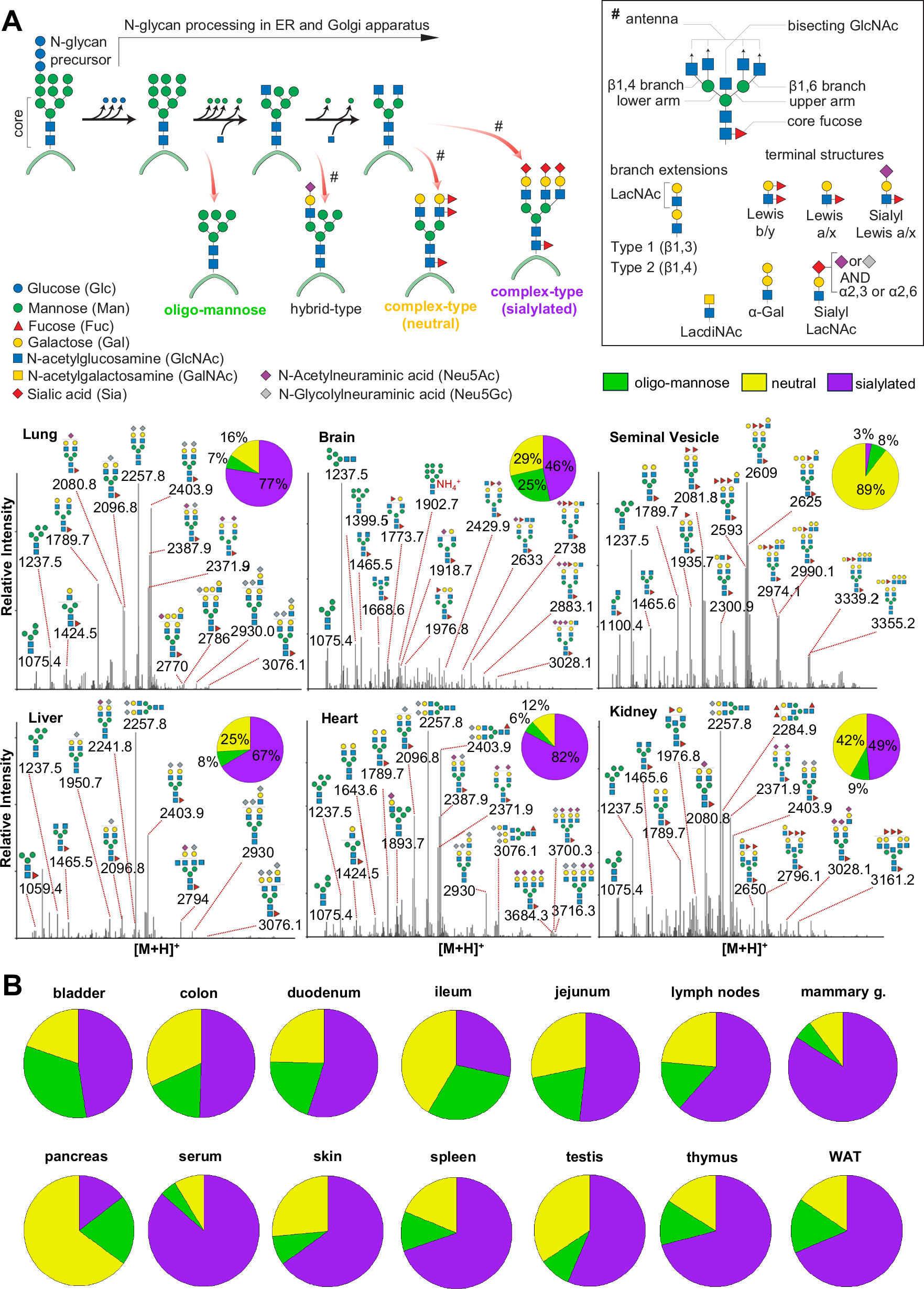 Fig. 2: Comparative N-glycome analysis.