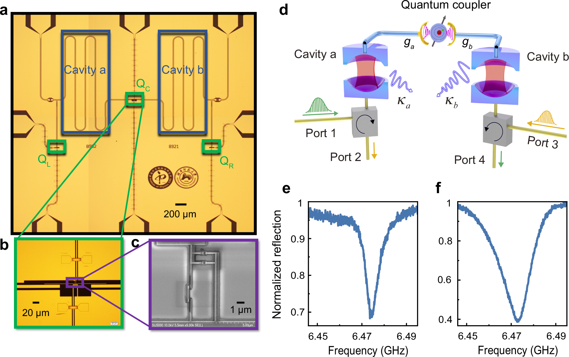 Fig. 1: Schematic diagram of the superconducting quantum chip.
