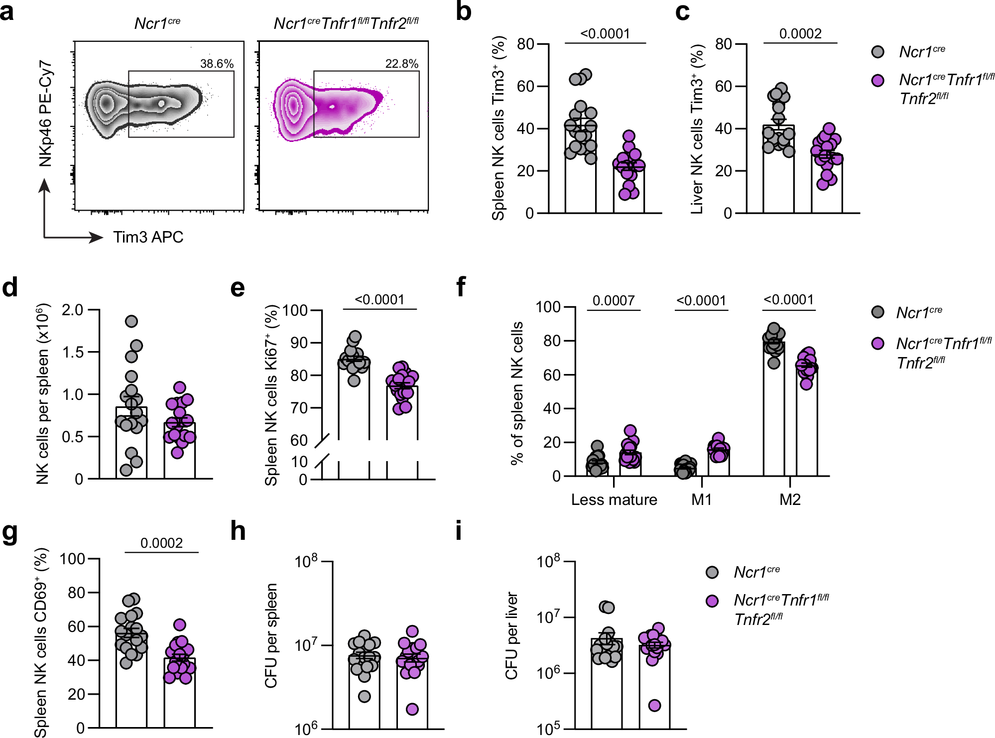 Fig. 4: Suppression of TNF signaling in NK cells impacts their phenotype during infection.