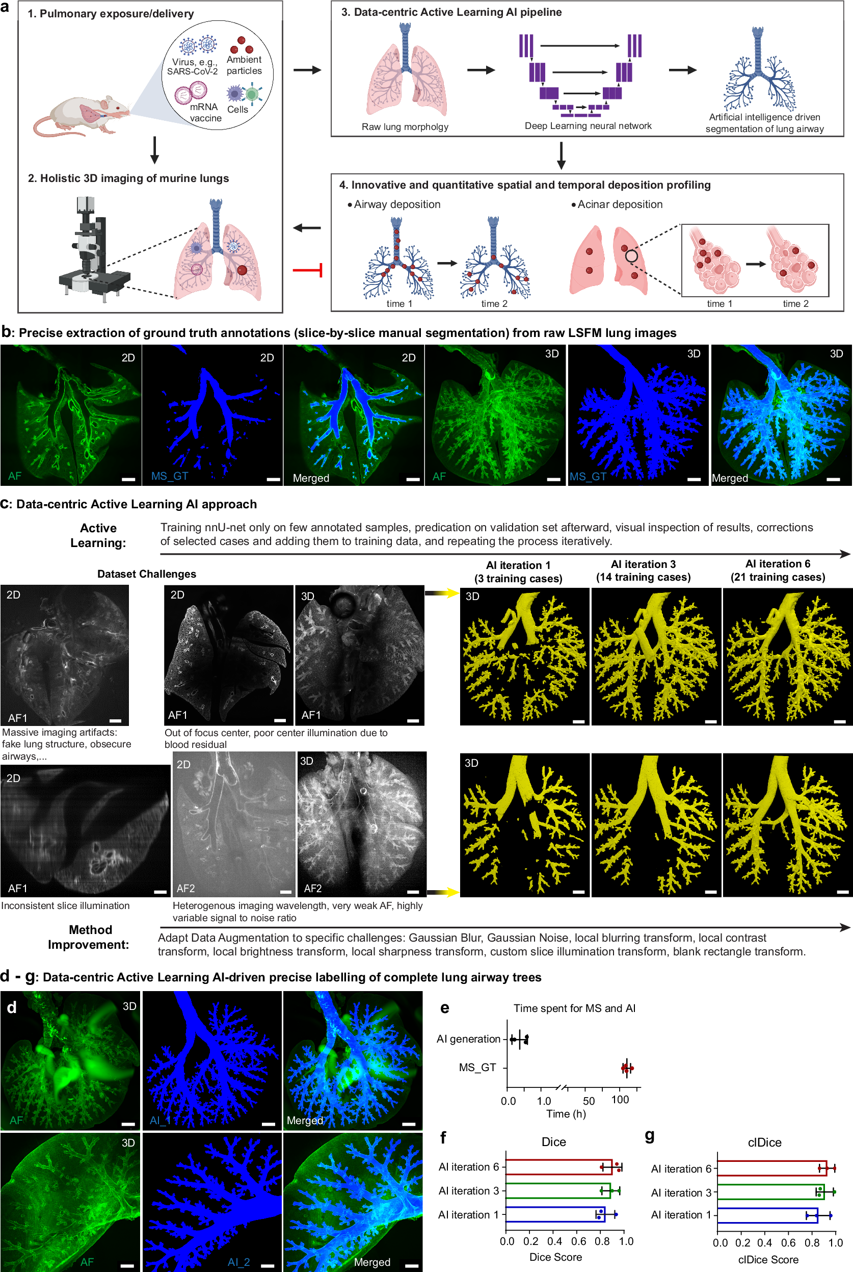 lungvis-1-0-an-automatic-ai-powered-3d-imaging-ecosystem-unveils-spatial-profiling-of-nanoparticle-delivery-and-acinar-migration-of-lung-macrophages-nature-communications