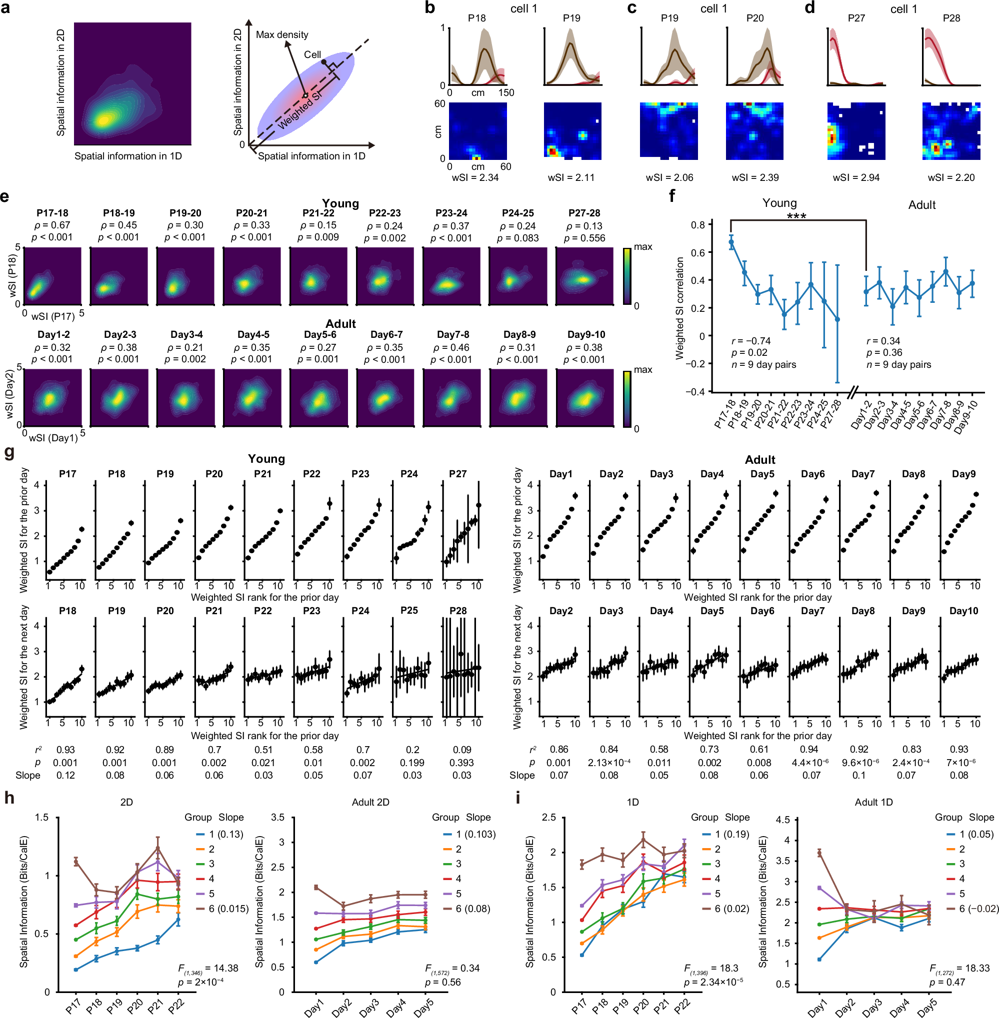Fig. 5: Spatial coding ability across days during early development.