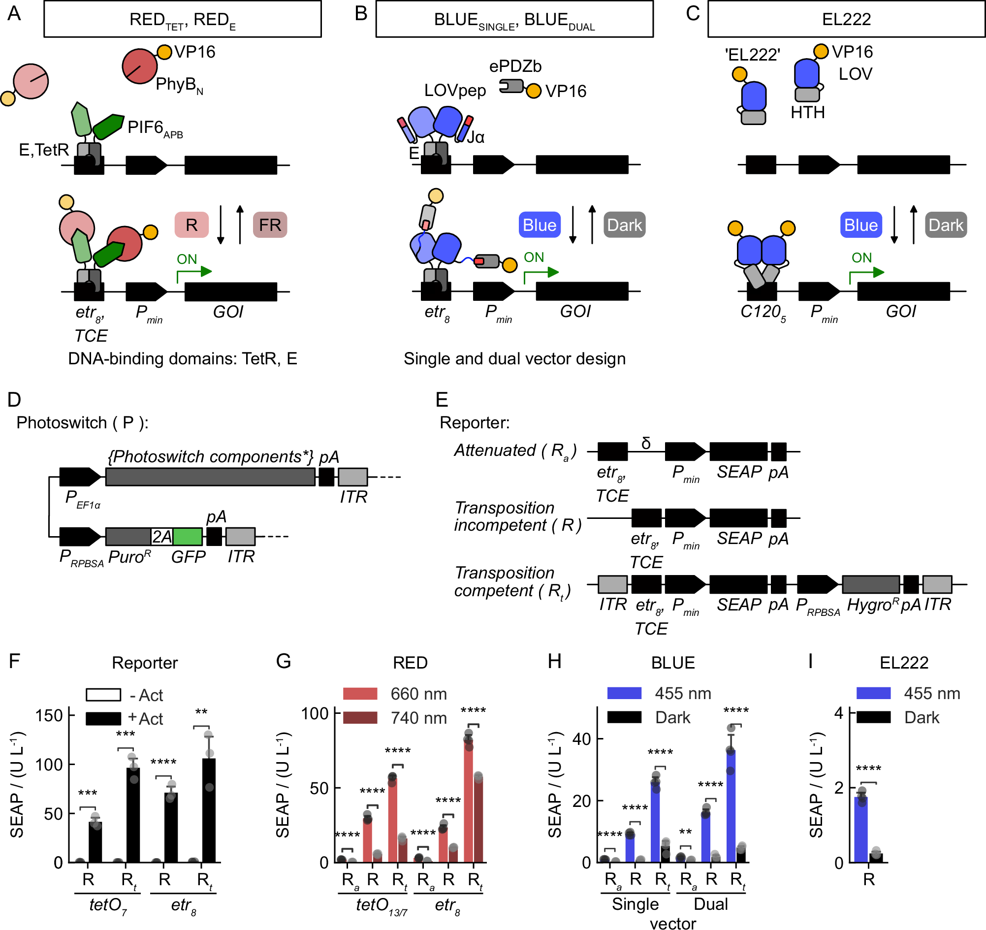 Fig. 1: Design of optogenetic switches for genomic cell engineering.