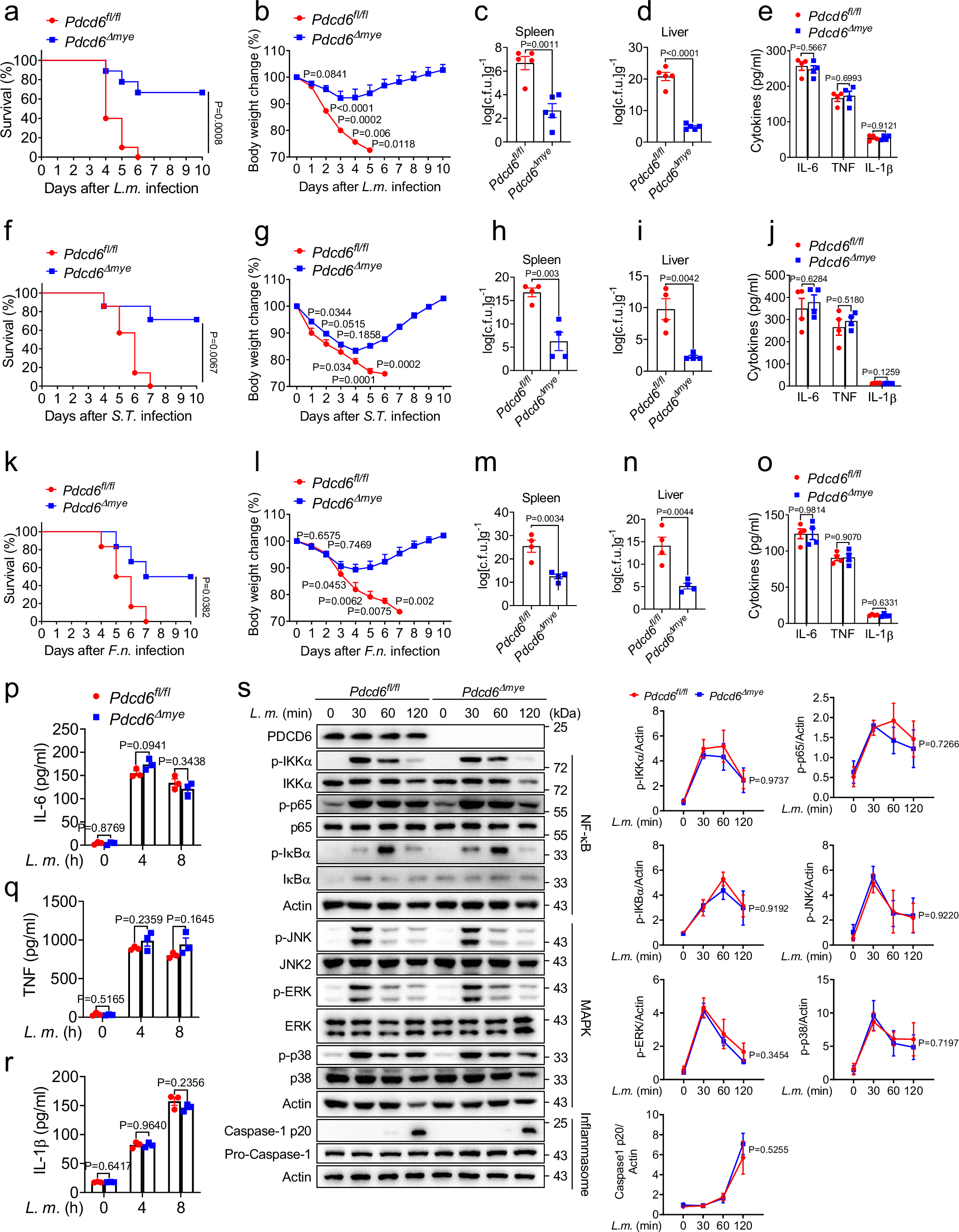 Fig. 2: PDCD6 regulates intracellular bacterial infection in vivo.