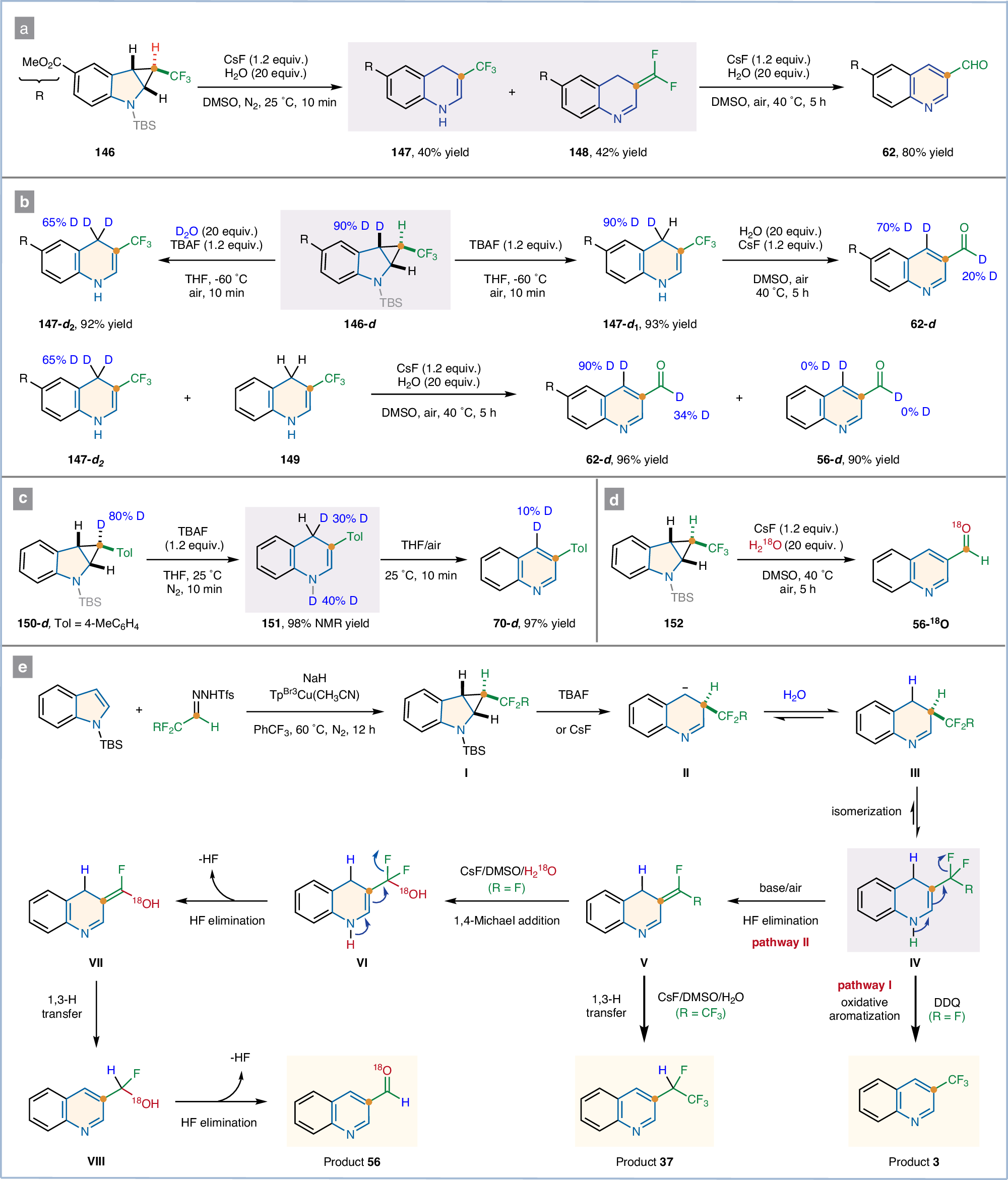 Fig. 5: Experimental studies and proposed mechanism for carbon-atom insertion of indoles with fluoroalkyl carbenes.