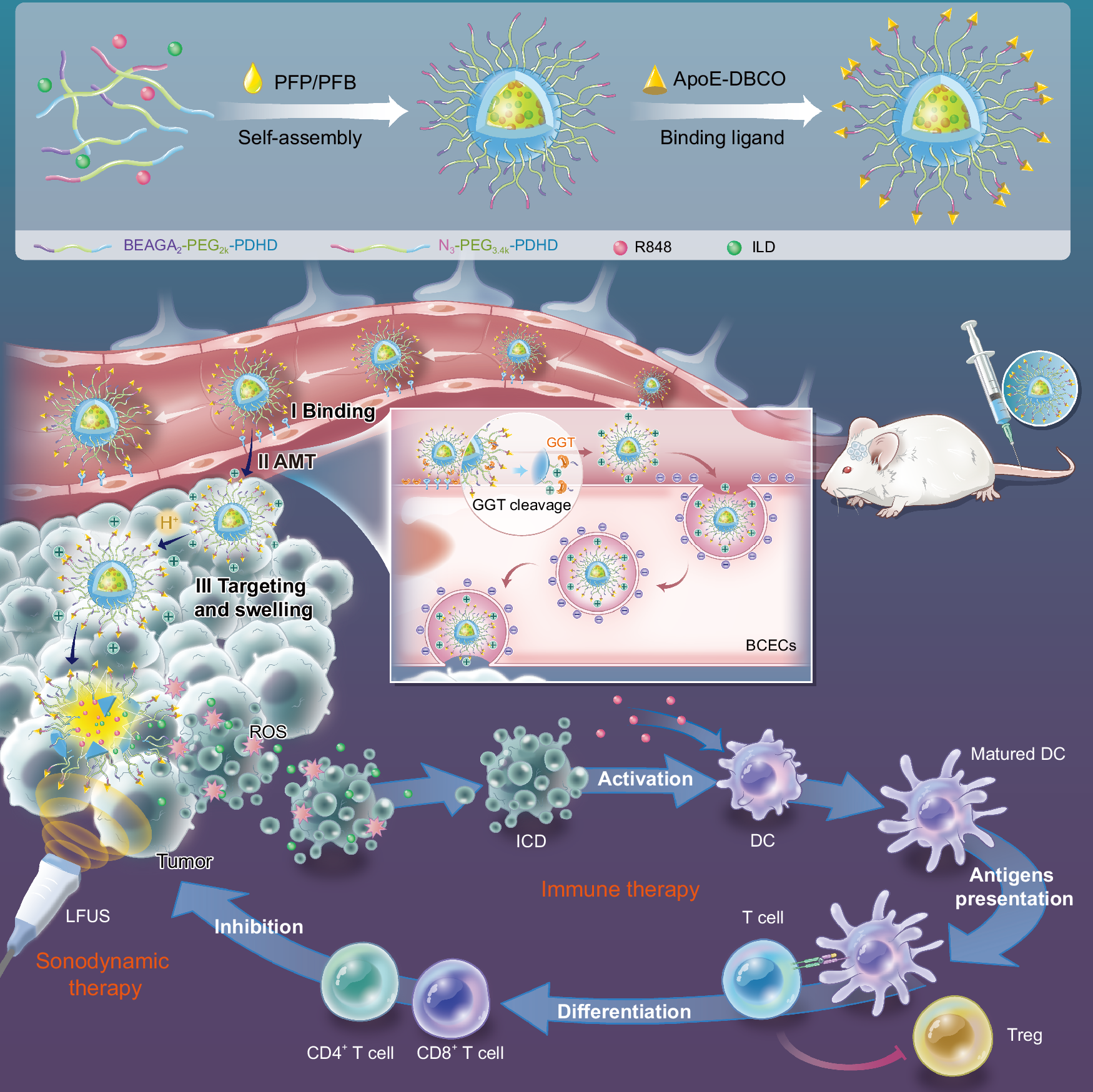 glutathione cross blood brain barrier levels in HIV1 infected individuals & its restoration Glutathione IV Therapy Guide