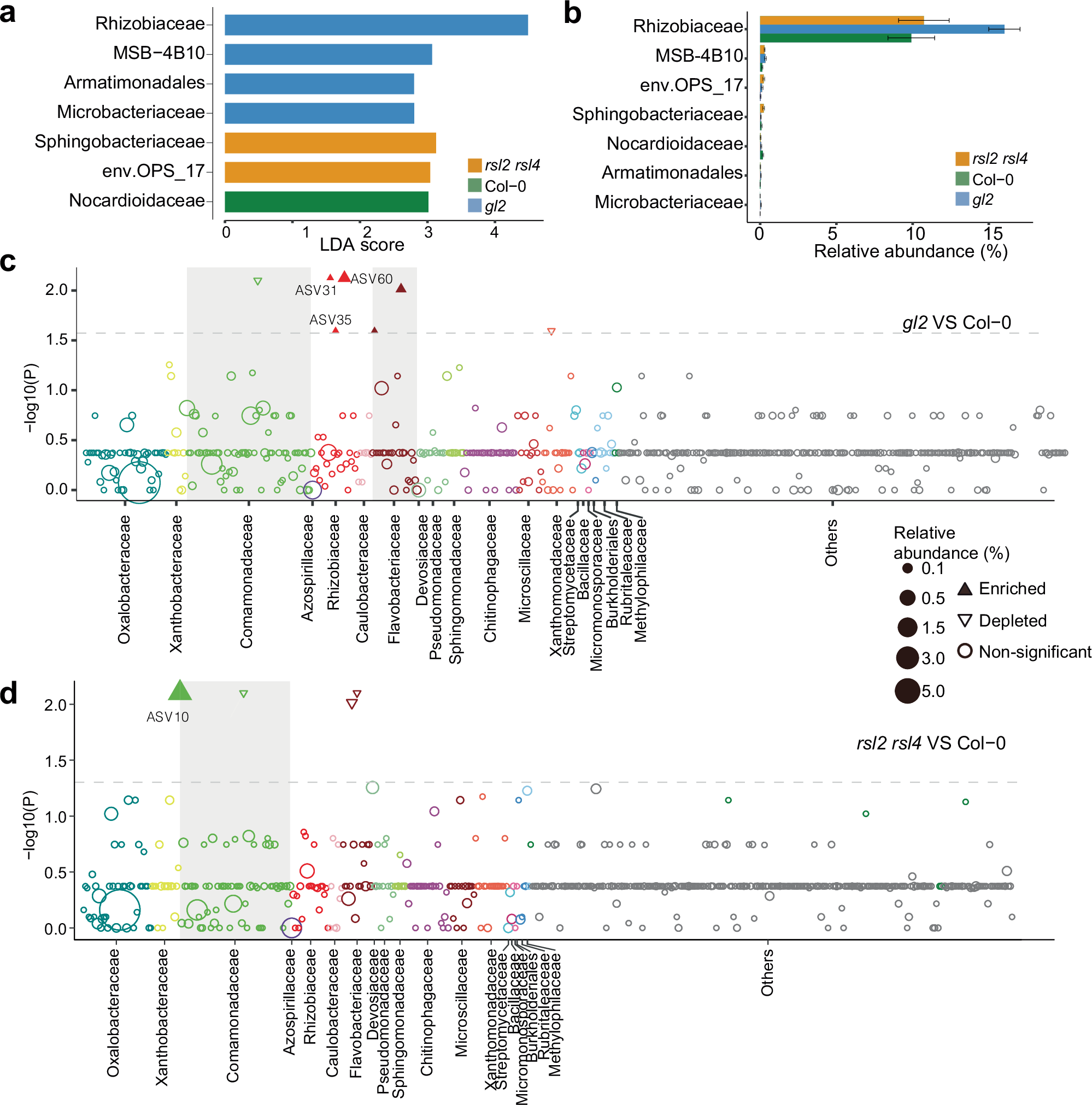 Fig. 3: Biomarker taxa in different genotypes.