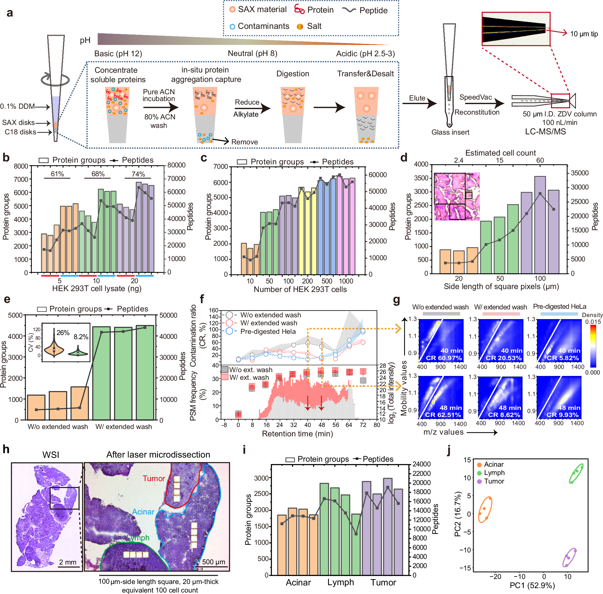 Fig. 2: Development of iPAC technology for processing rare stained tissue cells.