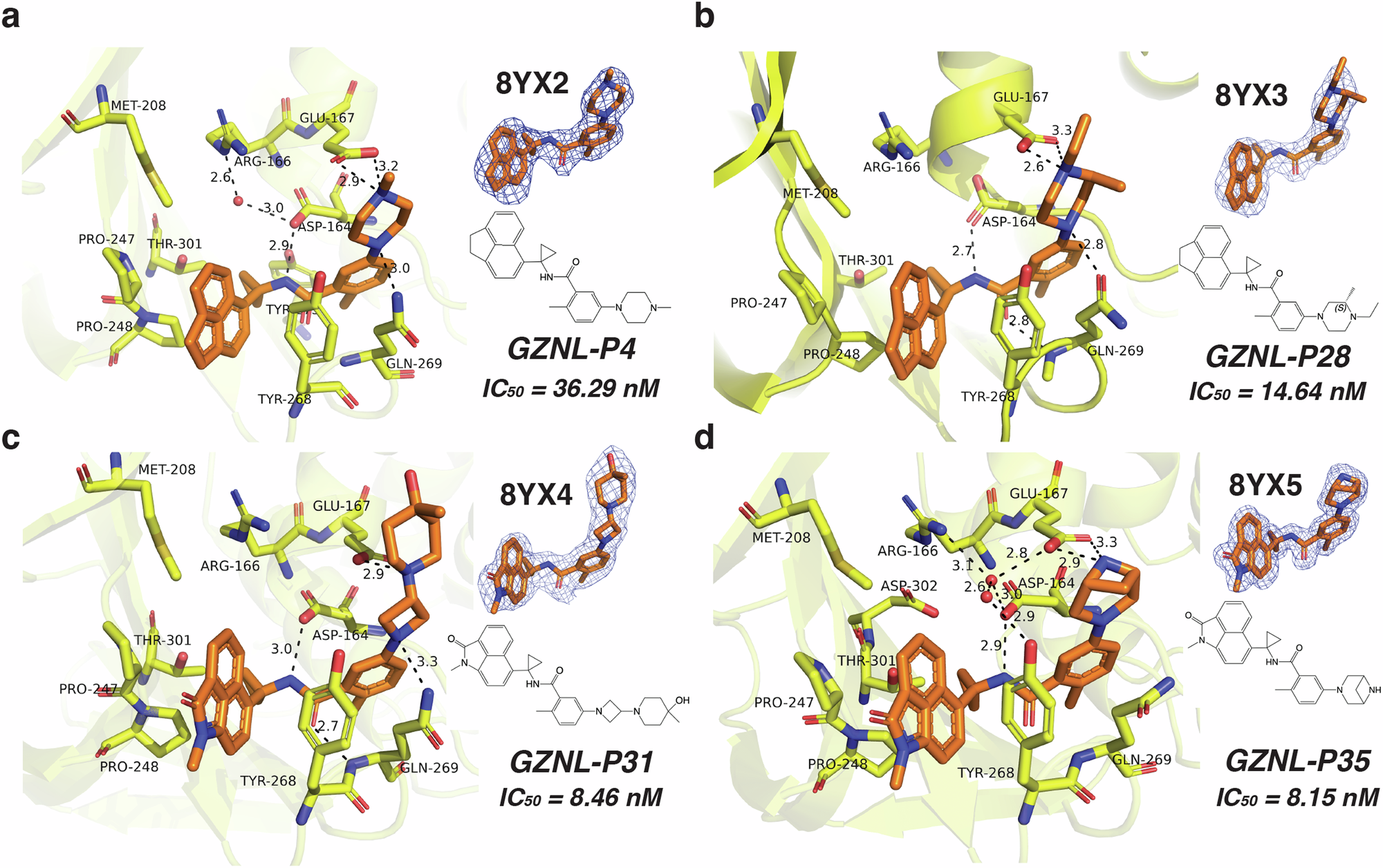 Fig. 2: X-ray crystal structures with SARS-CoV-2 PLpro inhibitors.