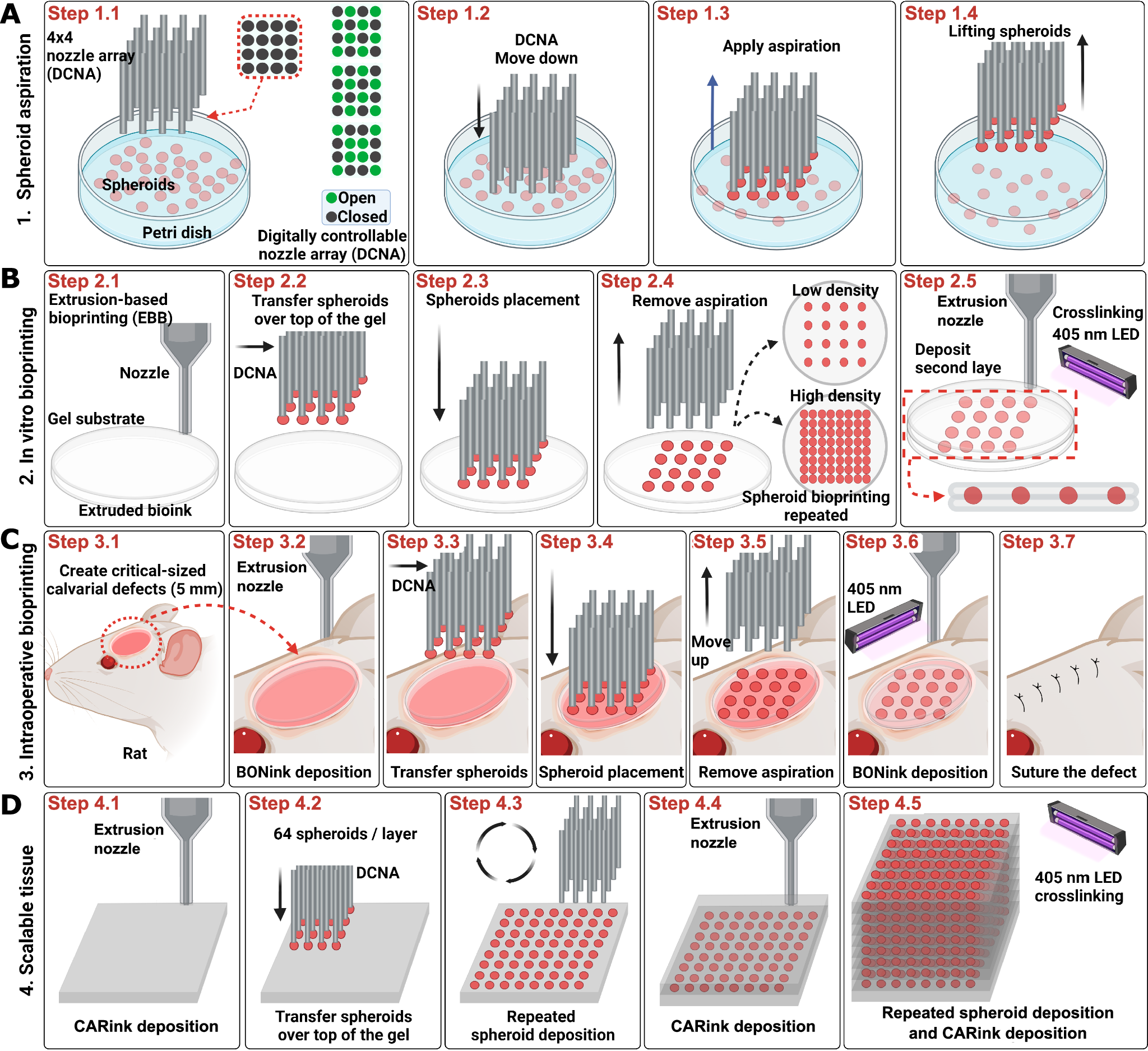 新しいバイオプリンティング技術で機能的組織を10倍速く作成(New bioprinting technique creates functional tissue 10x faster)