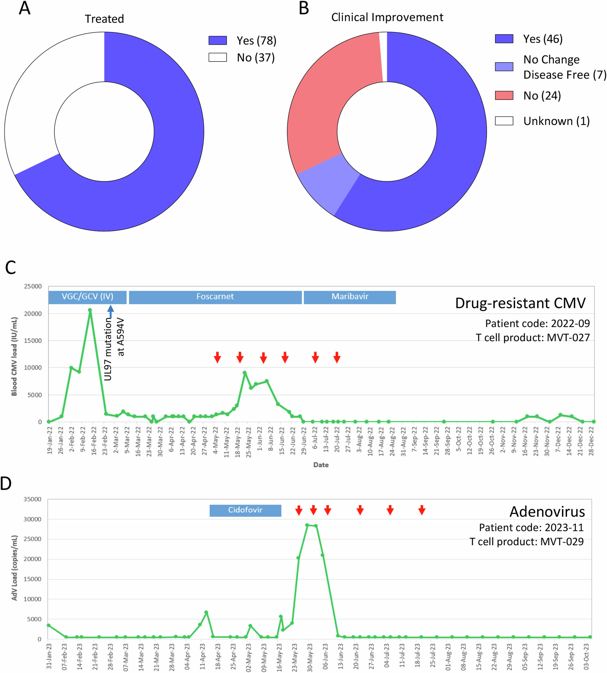 Fig. 6: Clinical outcome following adoptive T cell therapy.