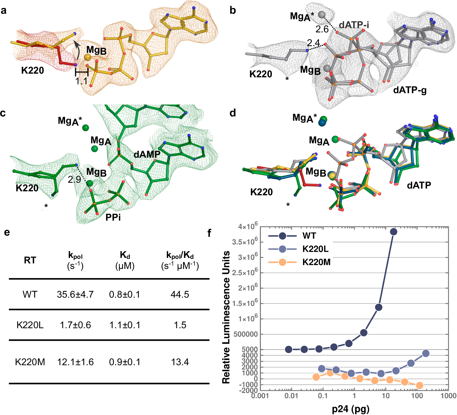 Fig. 6: Interaction of K220 in the RT active site.