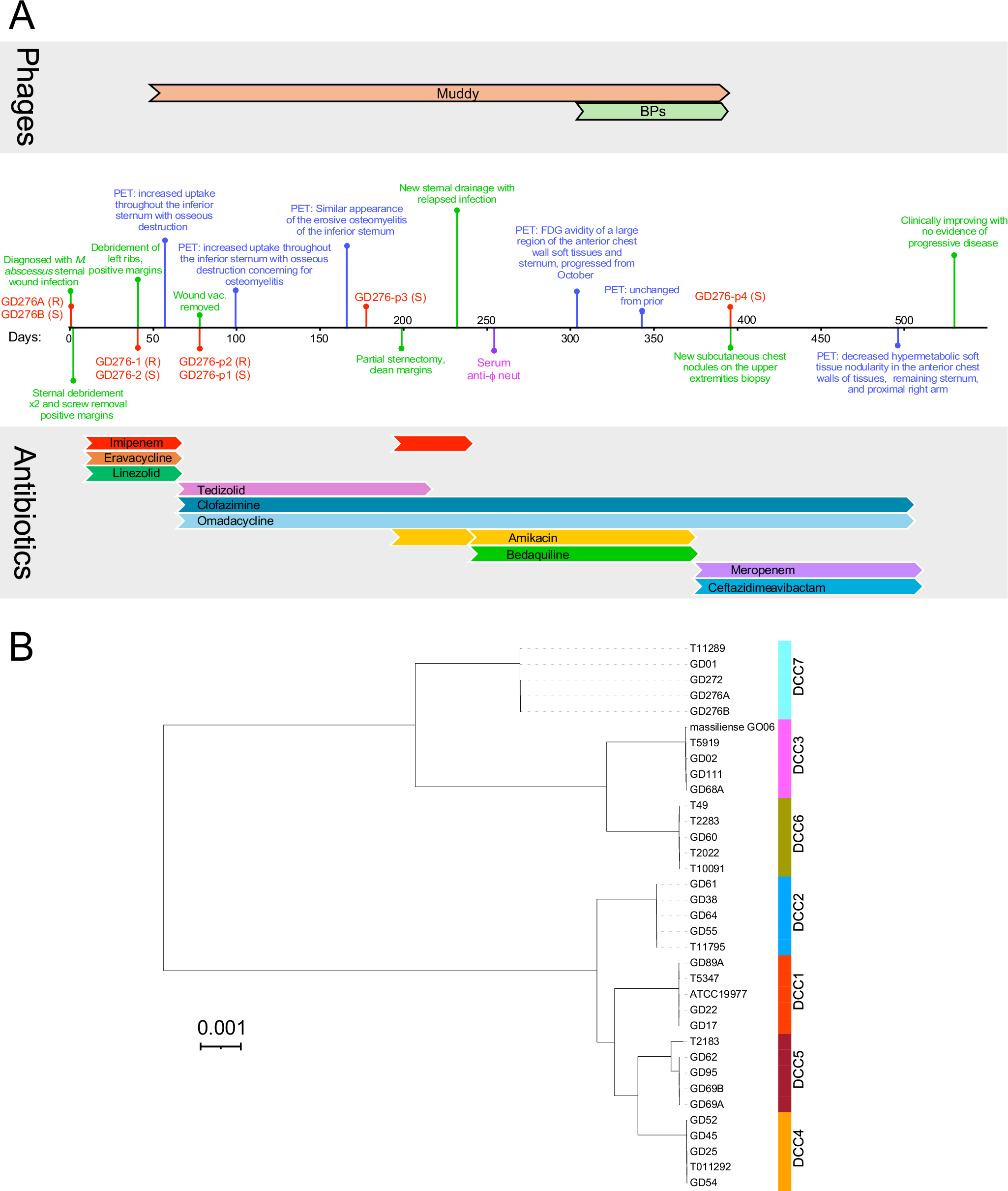 Fig. 1: Timeline of case study and strain comparisons.