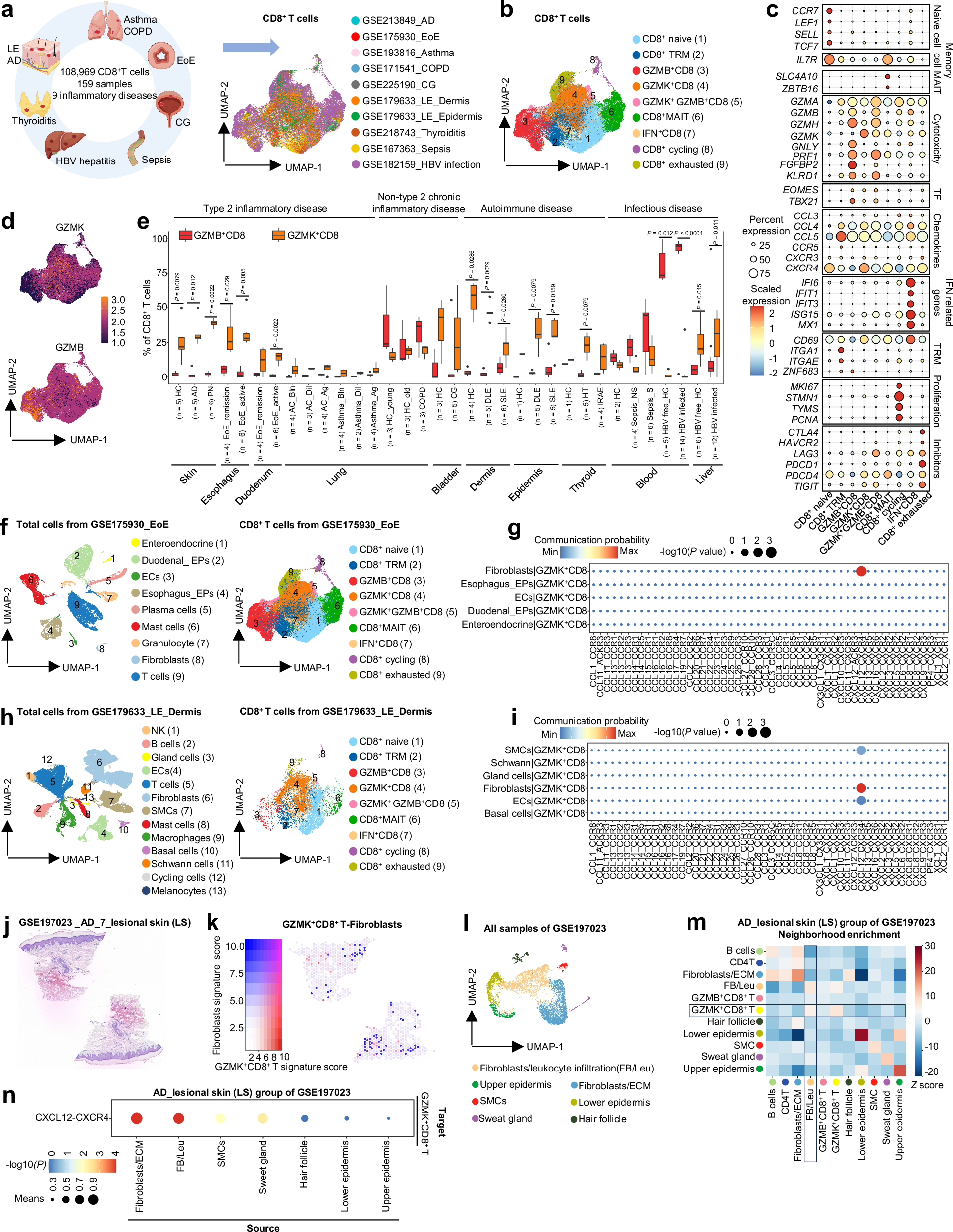 Fig. 8: The expansion of GZMK+CD8+ T cells in chronic inflammatory diseases and interaction with fibroblasts via CXCR4-CXCL12 axis.