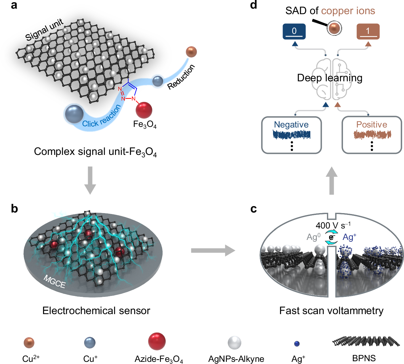 Fig. 1: Schematic diagram of deep learning-assisted SAD of copper ions based on click chemistry and FSV.