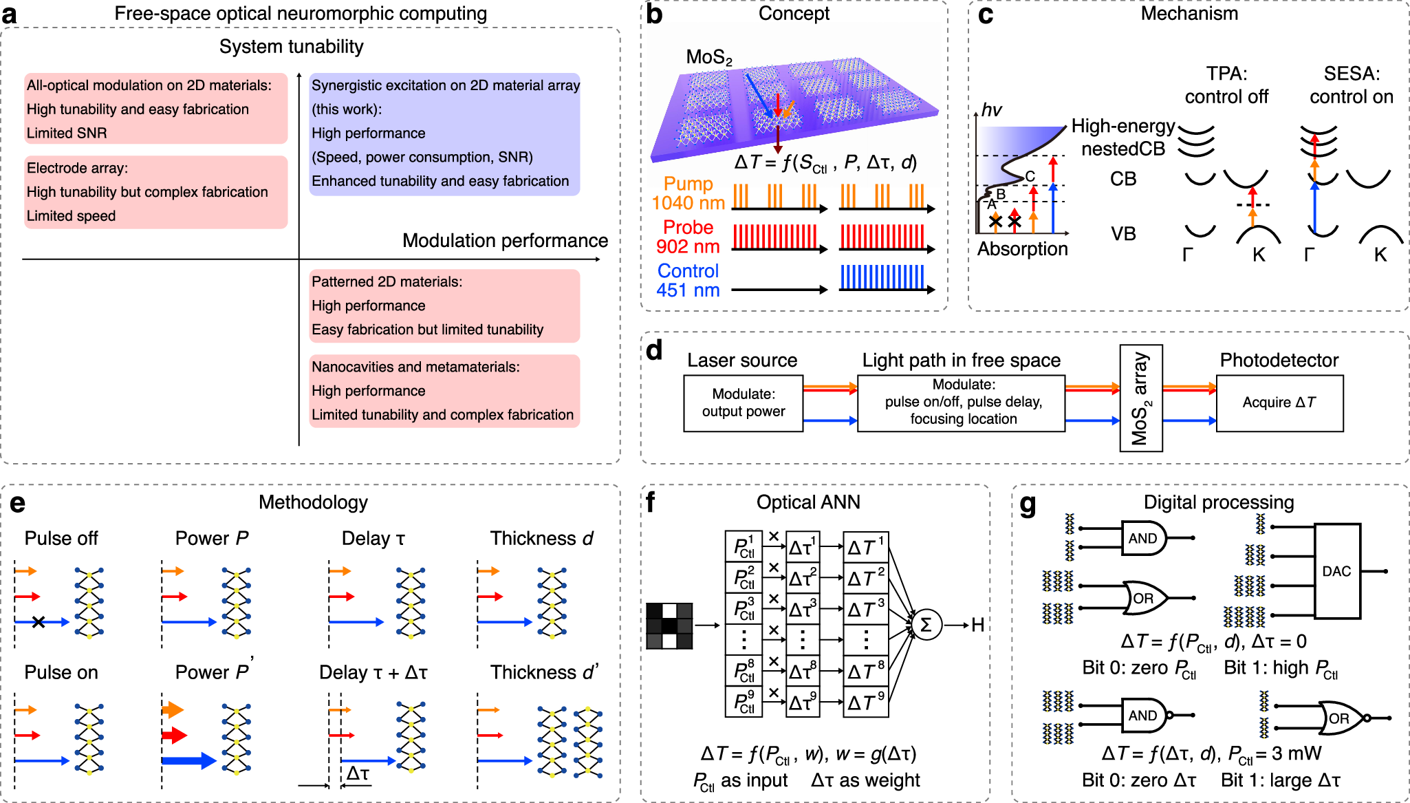 Programmable nonlinear optical neuromorphic computing with bare 2D 