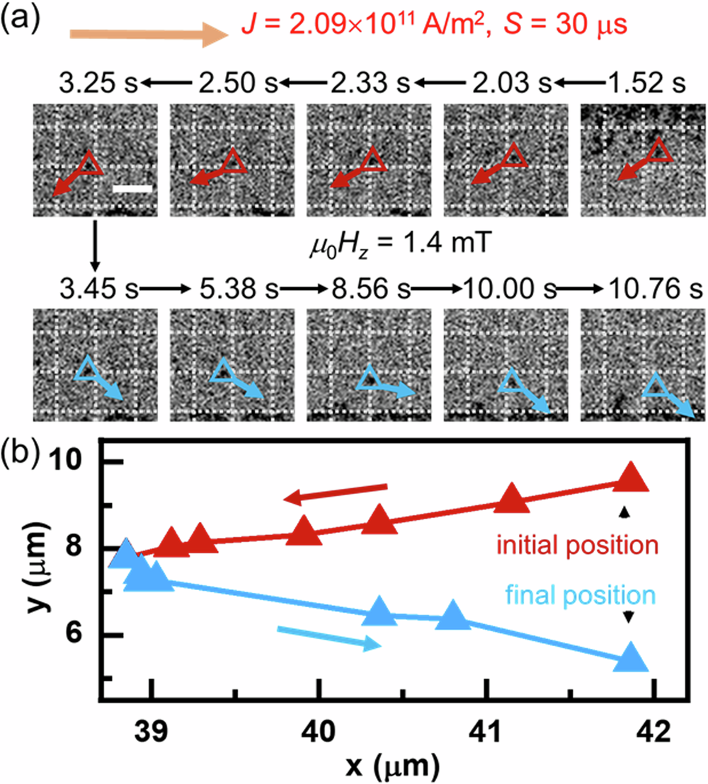 Fig. 3: Zigzag-type skyrmion trajectory.